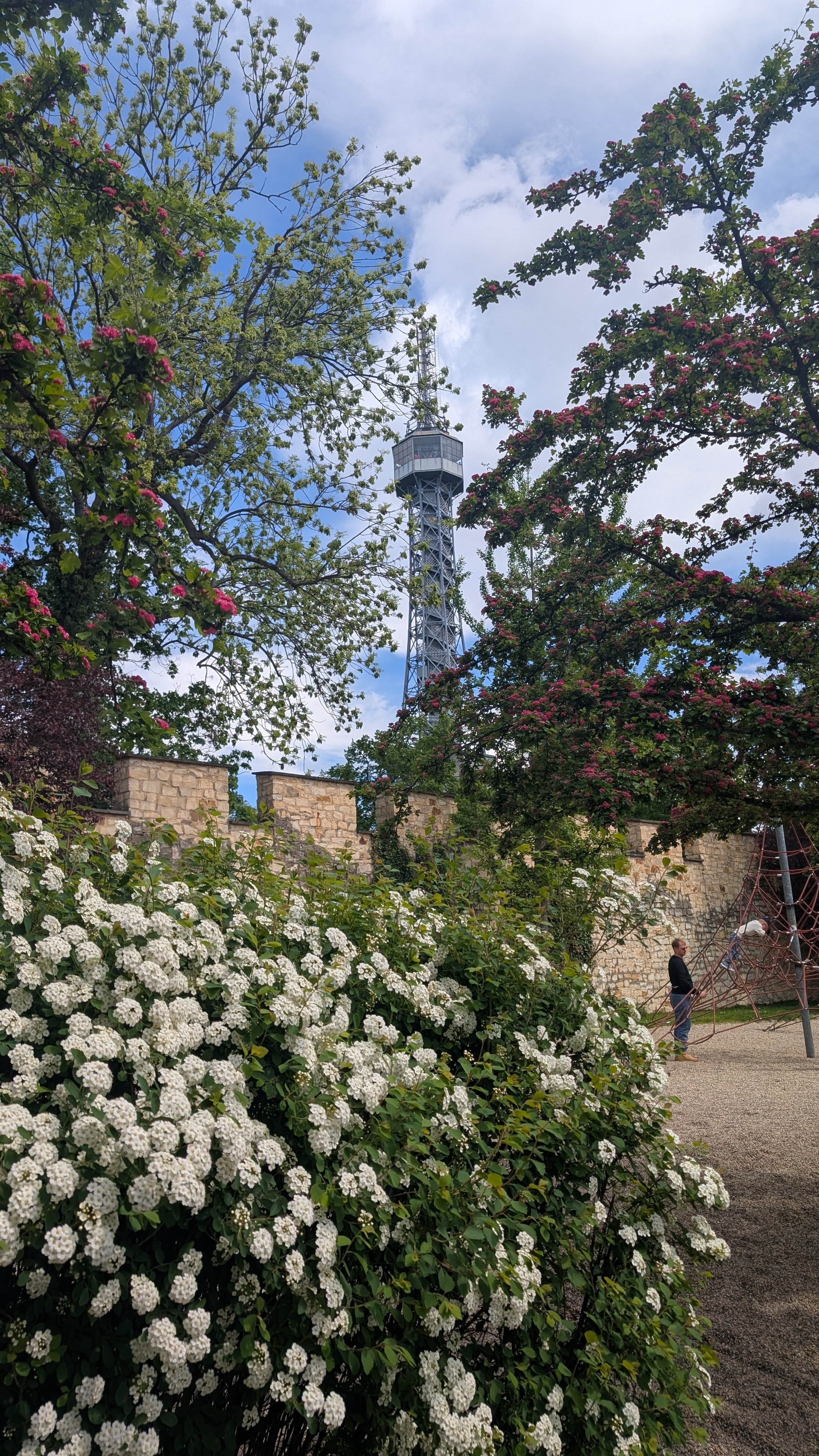 PXL_20250504_100533053.RAW-01.MP.COVER.jpg