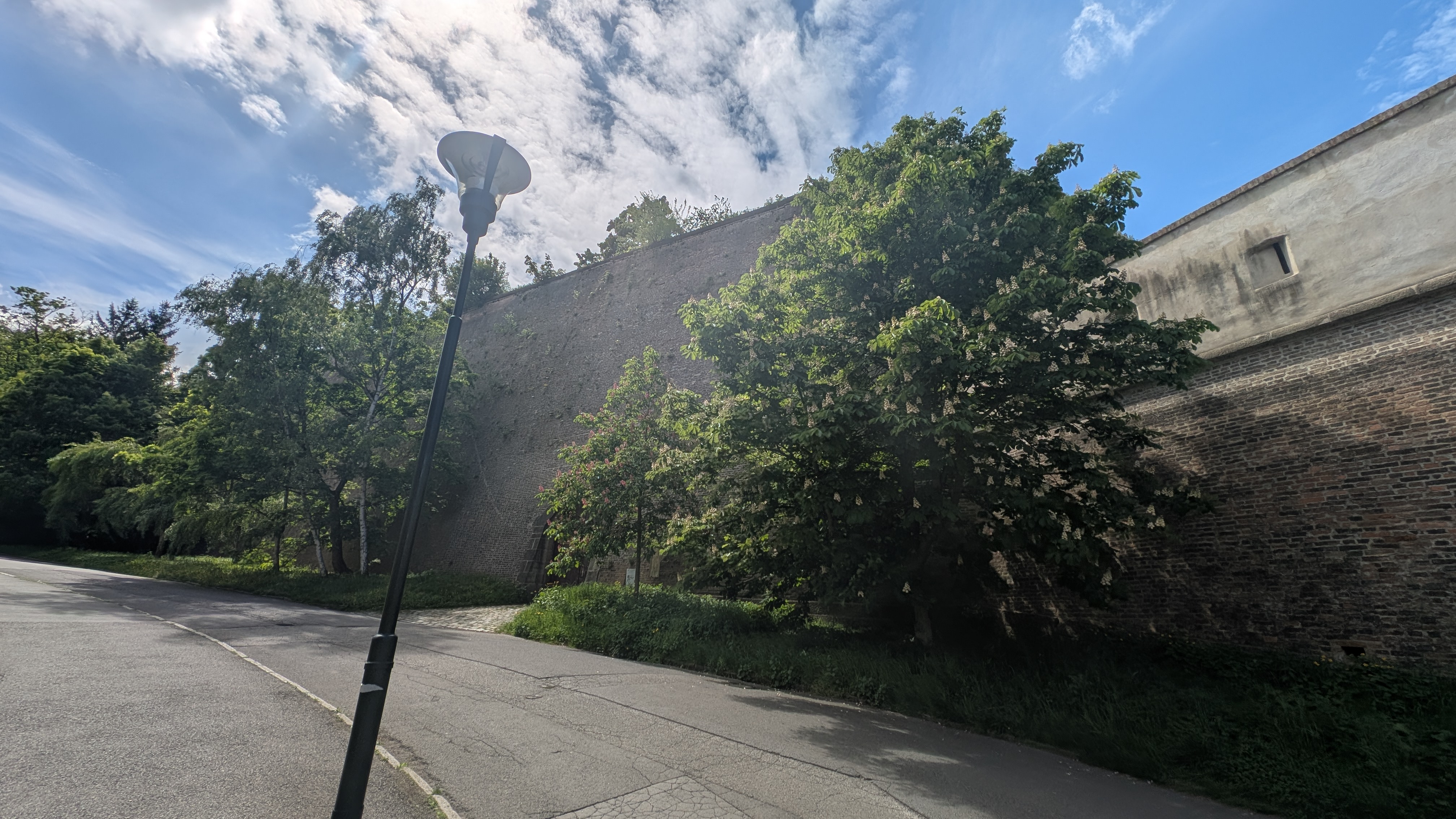 PXL_20250504_101632045.RAW-01.MP.COVER.jpg