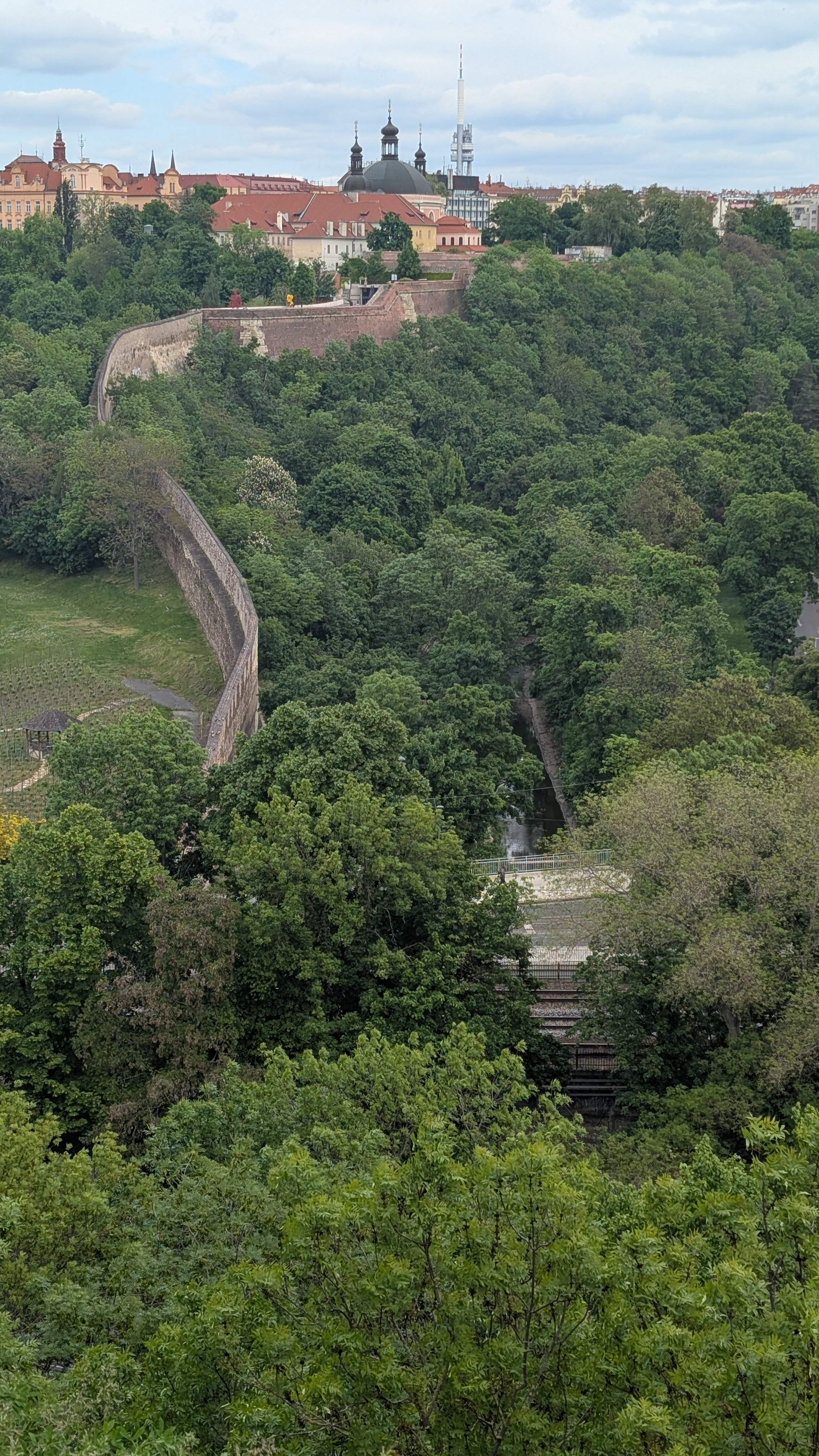 PXL_20250504_121951347.RAW-01.MP.COVER.jpg