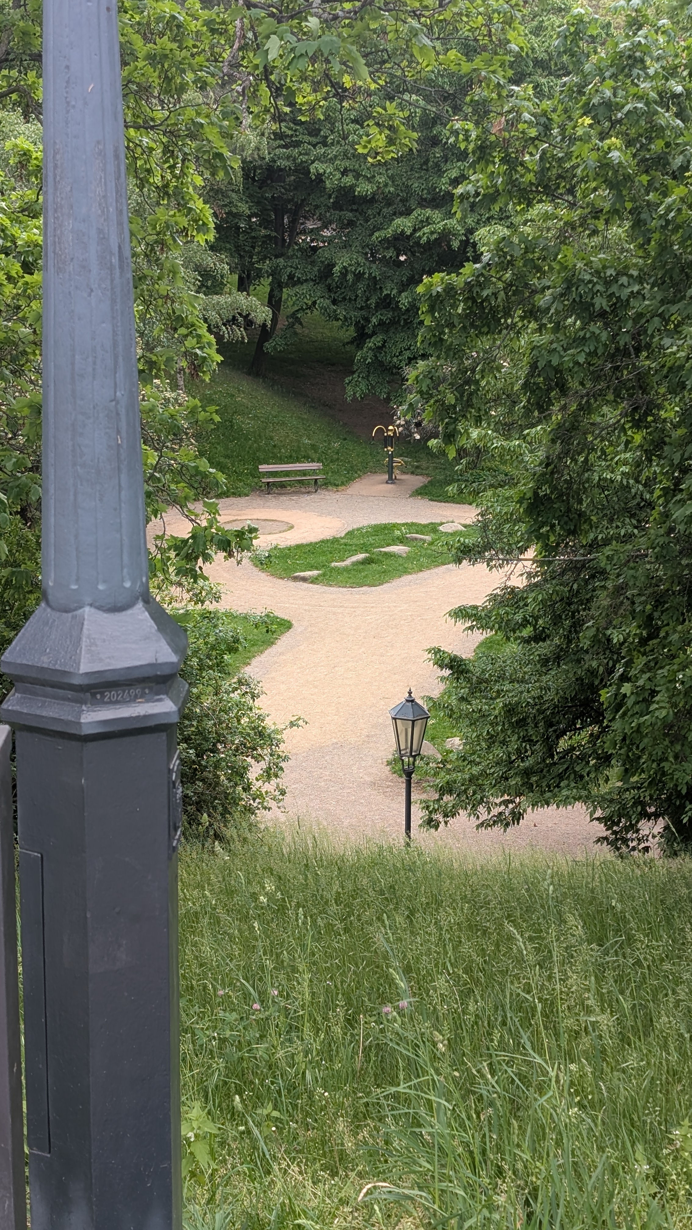 PXL_20250504_123010360.RAW-01.MP.COVER.jpg