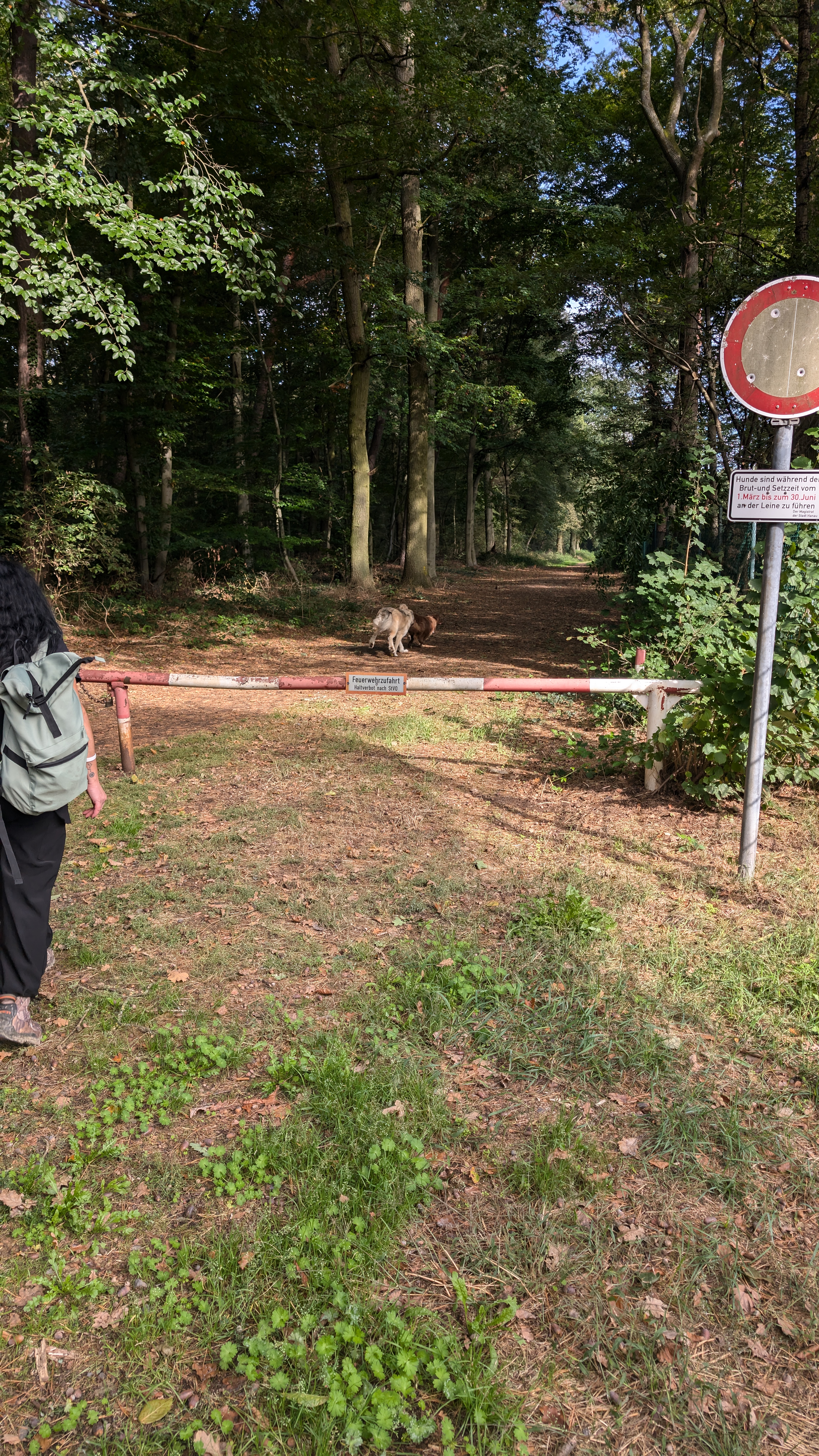 PXL_20240929_091825621.RAW-01.COVER.jpg