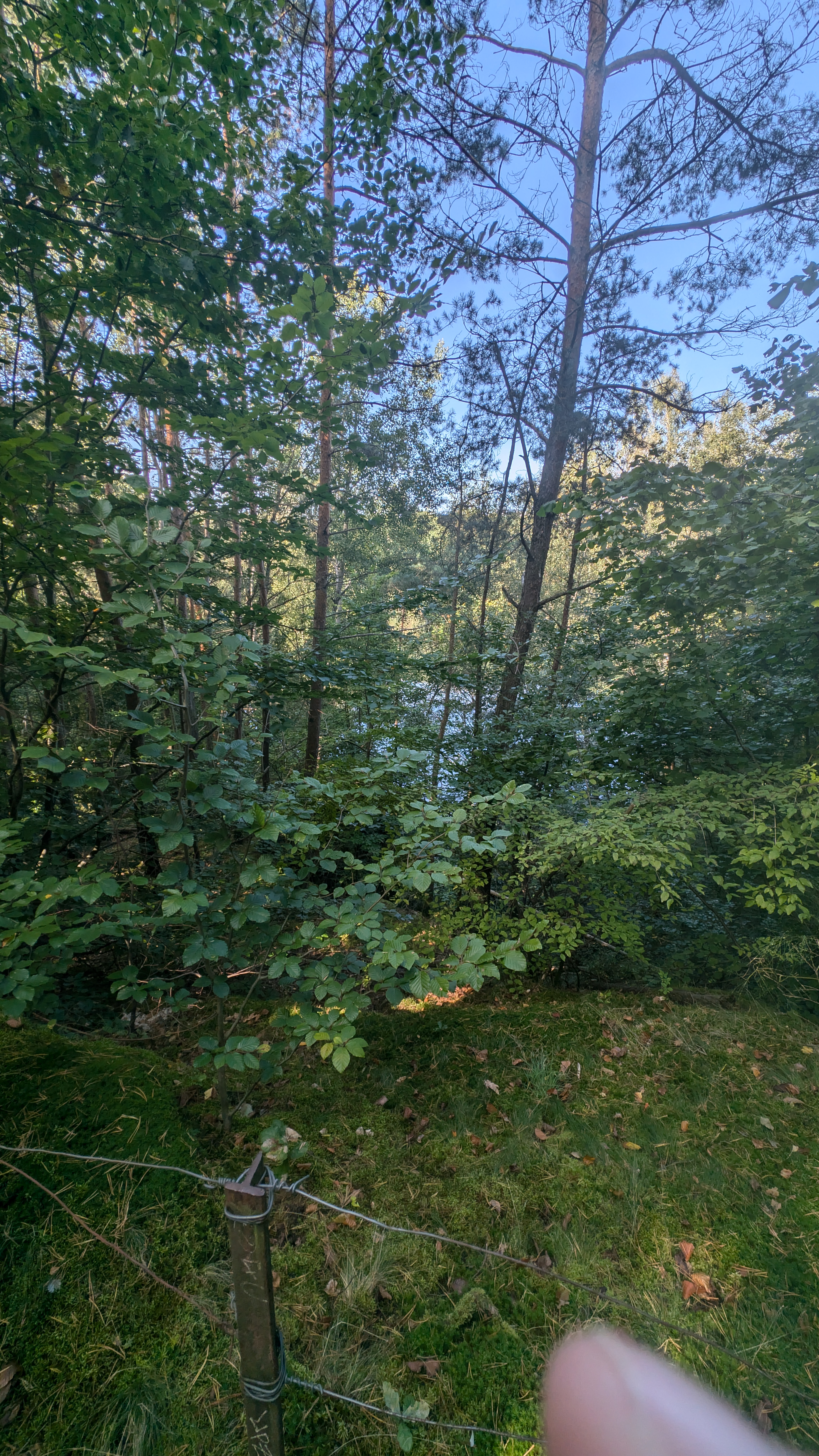 PXL_20240929_094720974.RAW-01.COVER.jpg
