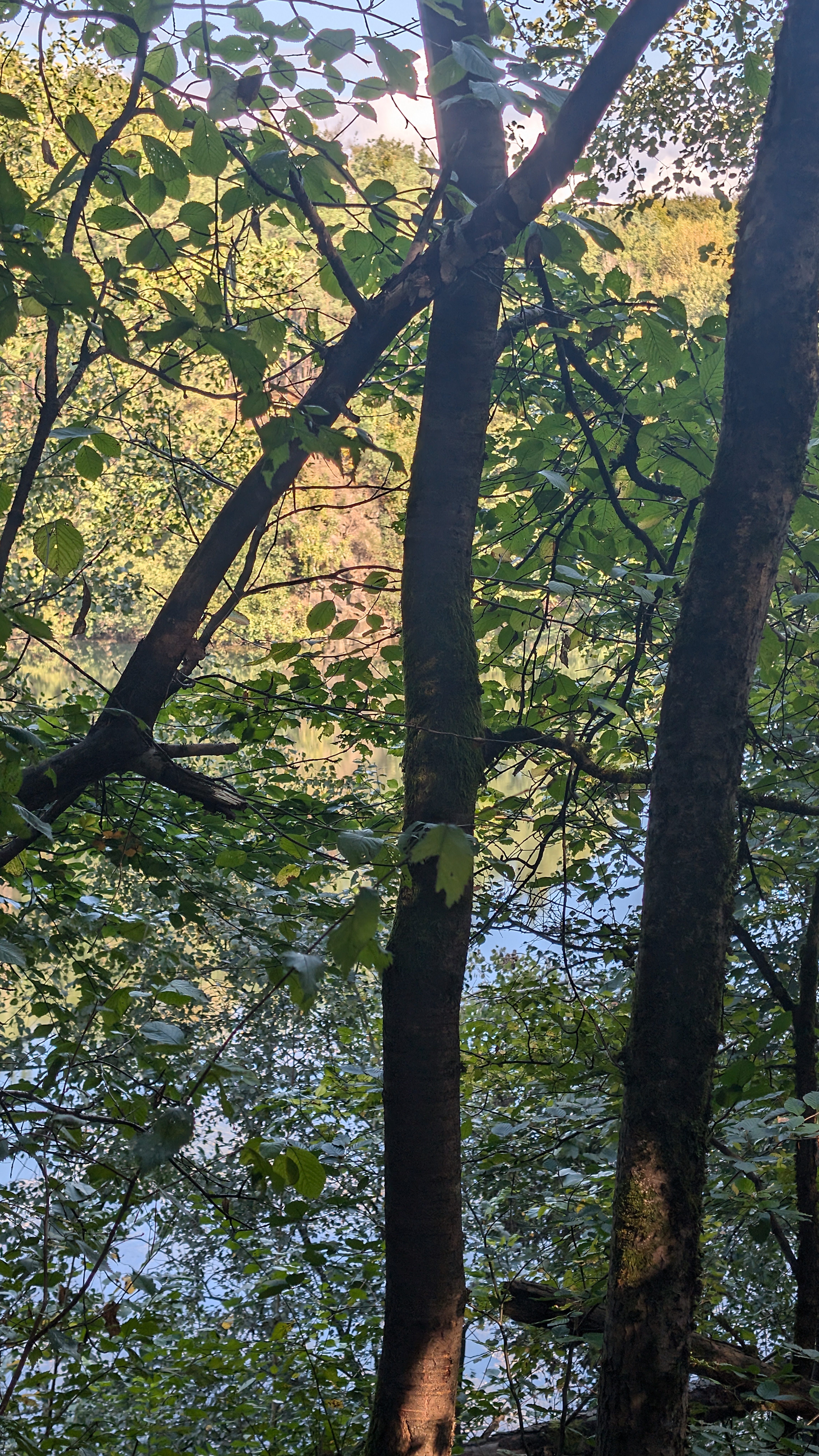 PXL_20240929_095140470.RAW-01.COVER.jpg