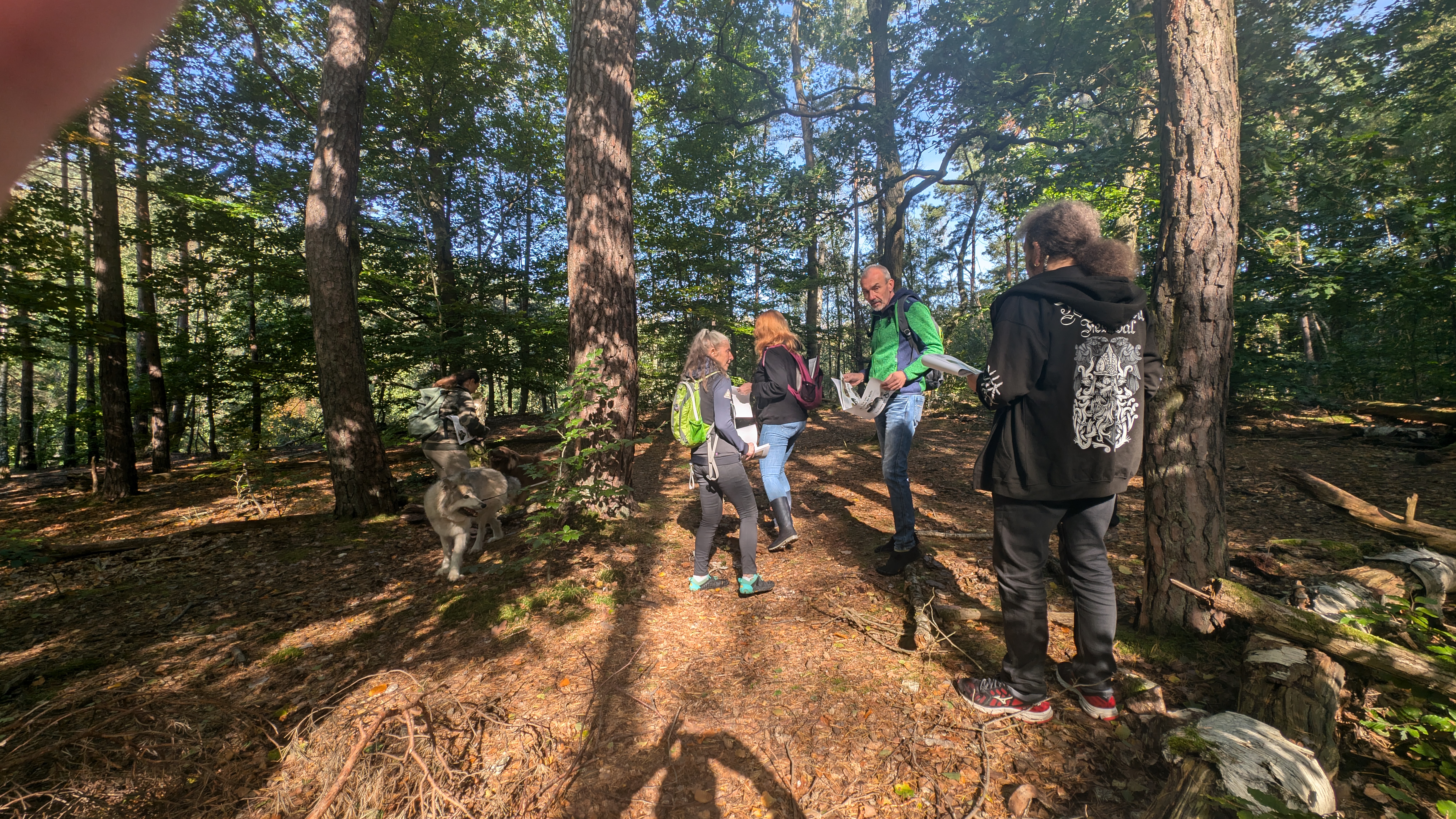 PXL_20240929_095536356.RAW-01.COVER.jpg