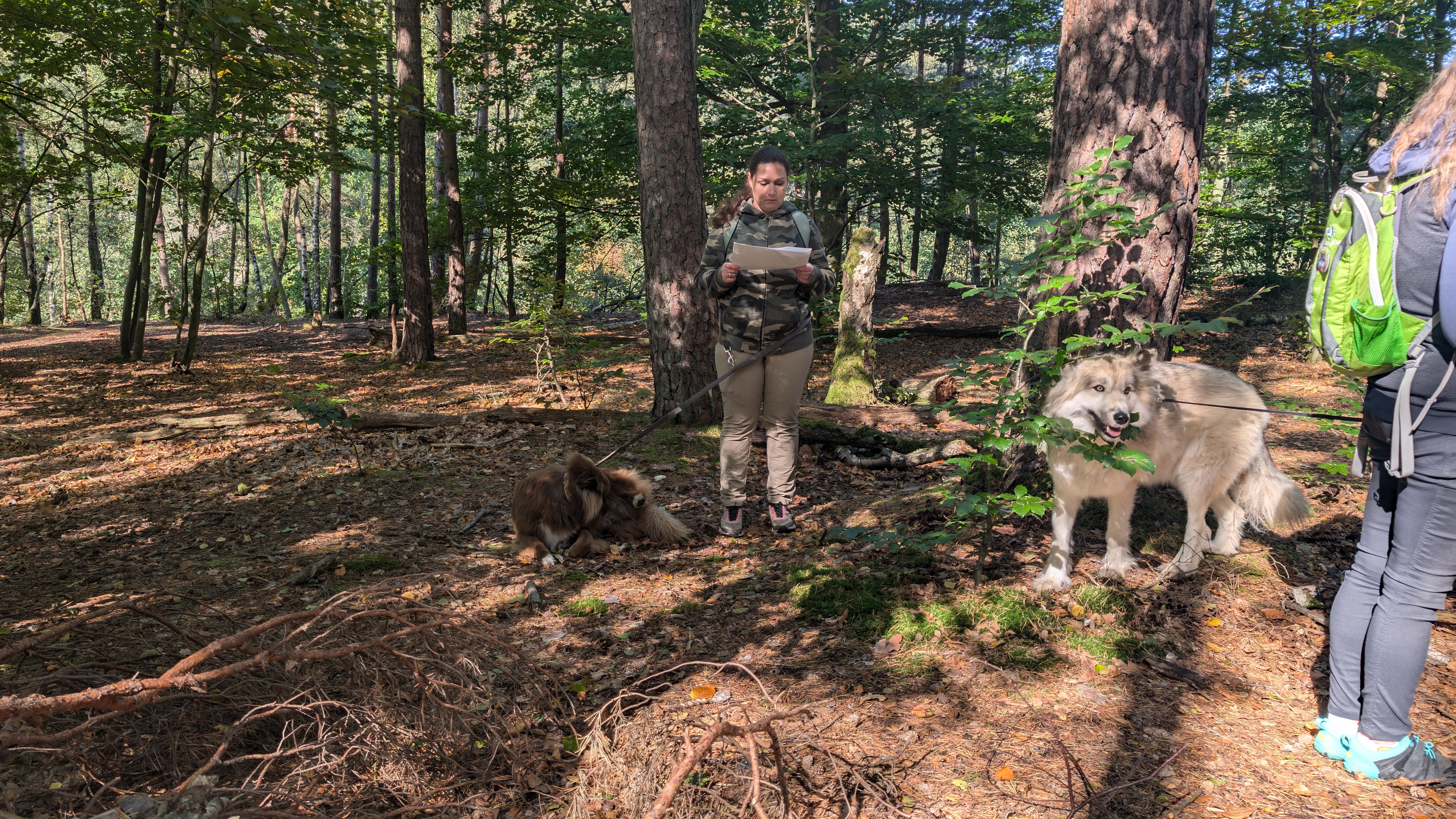 PXL_20240929_095626012.RAW-01.COVER.jpg