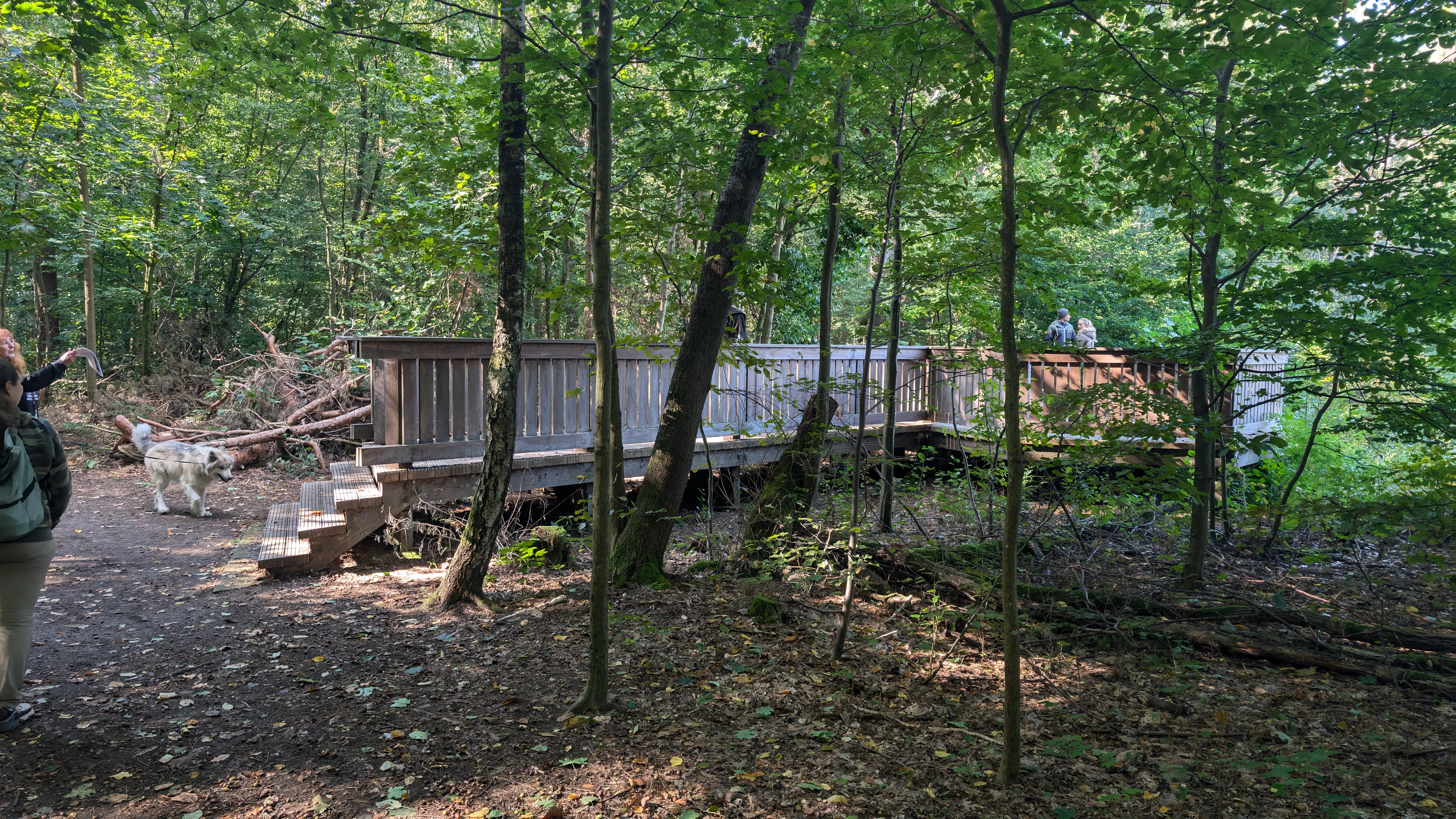 PXL_20240929_100551224.RAW-01.COVER.jpg