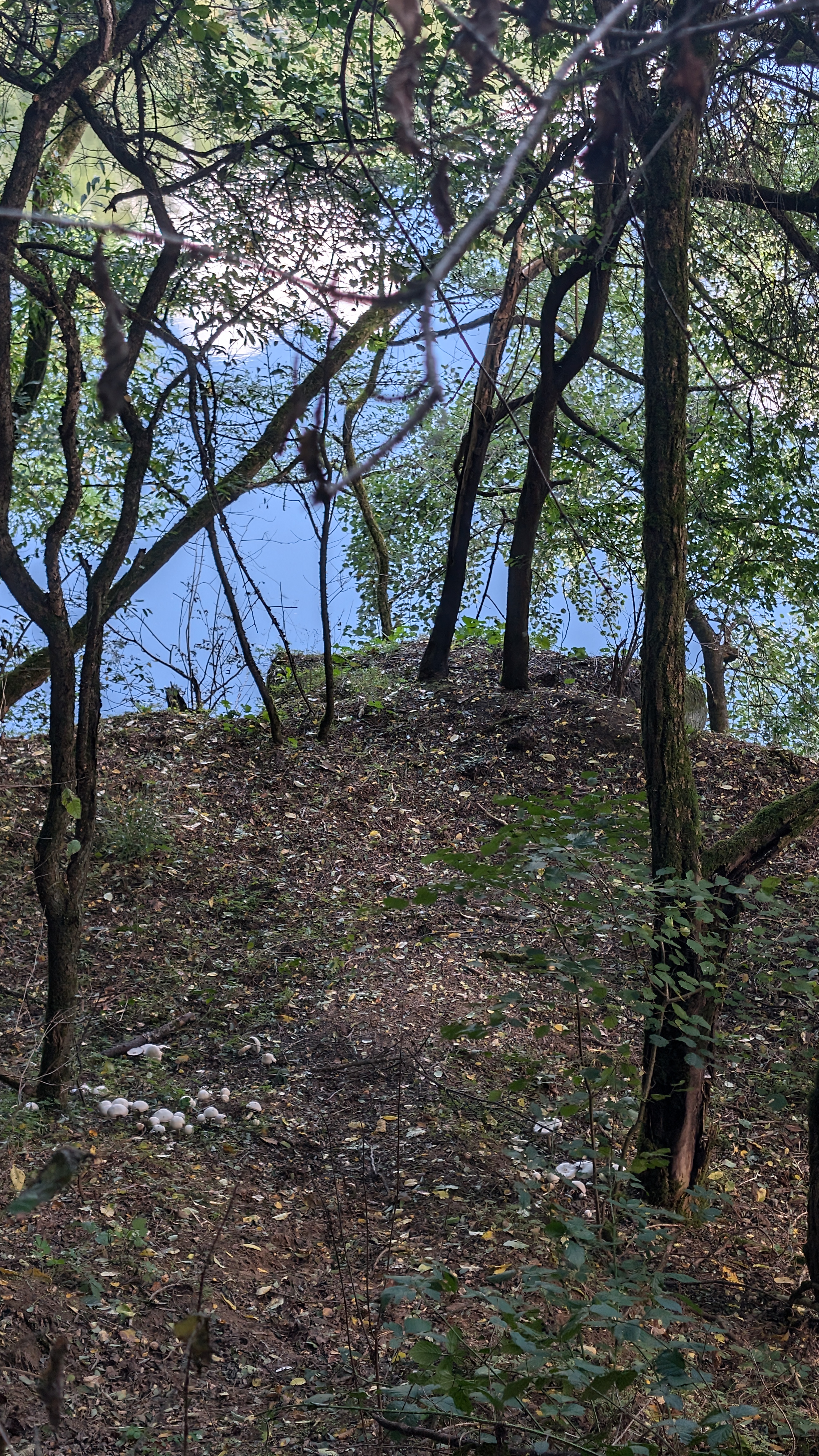 PXL_20240929_101620858.RAW-01.COVER.jpg