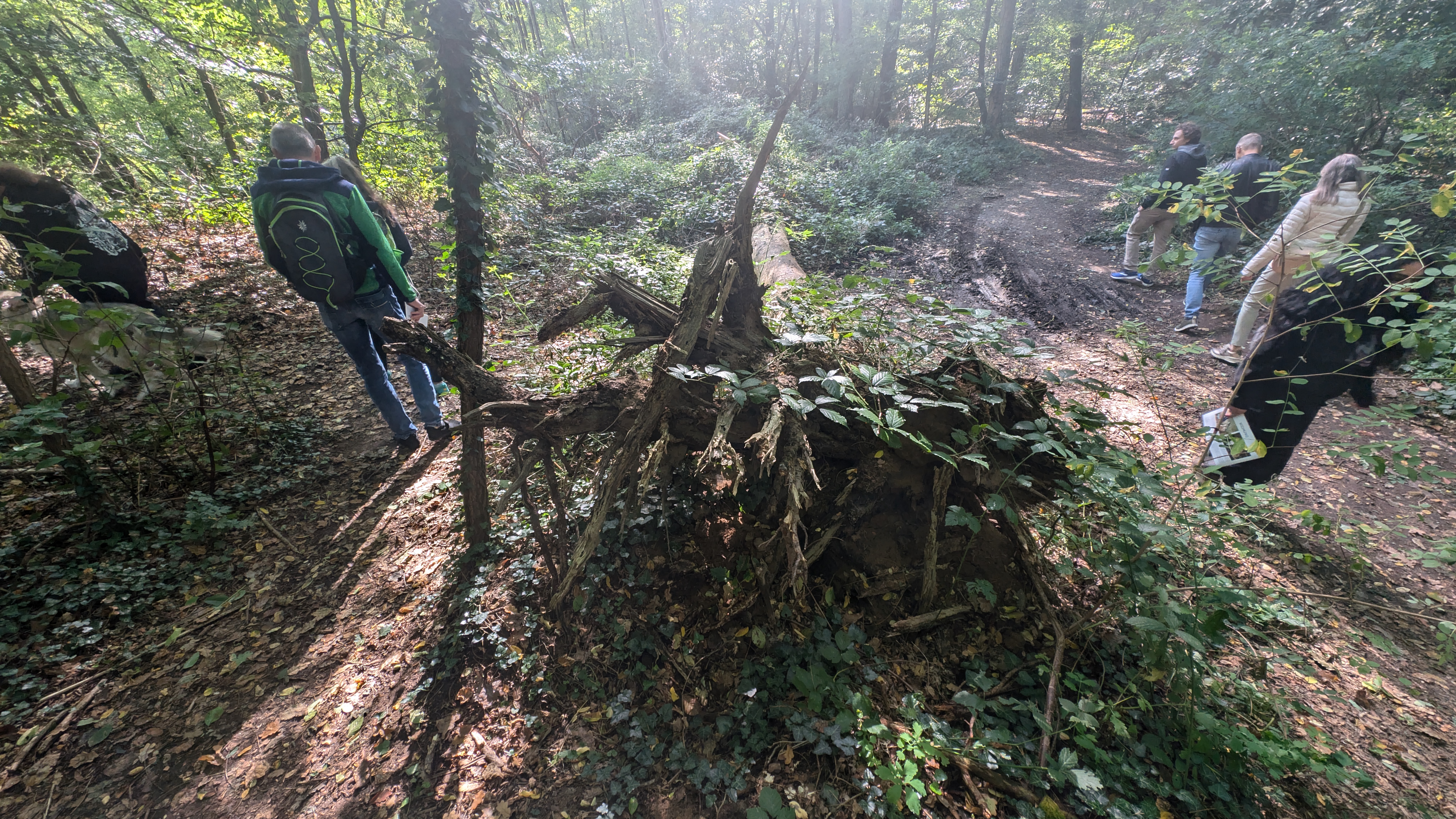 PXL_20240929_102105876.RAW-01.COVER.jpg