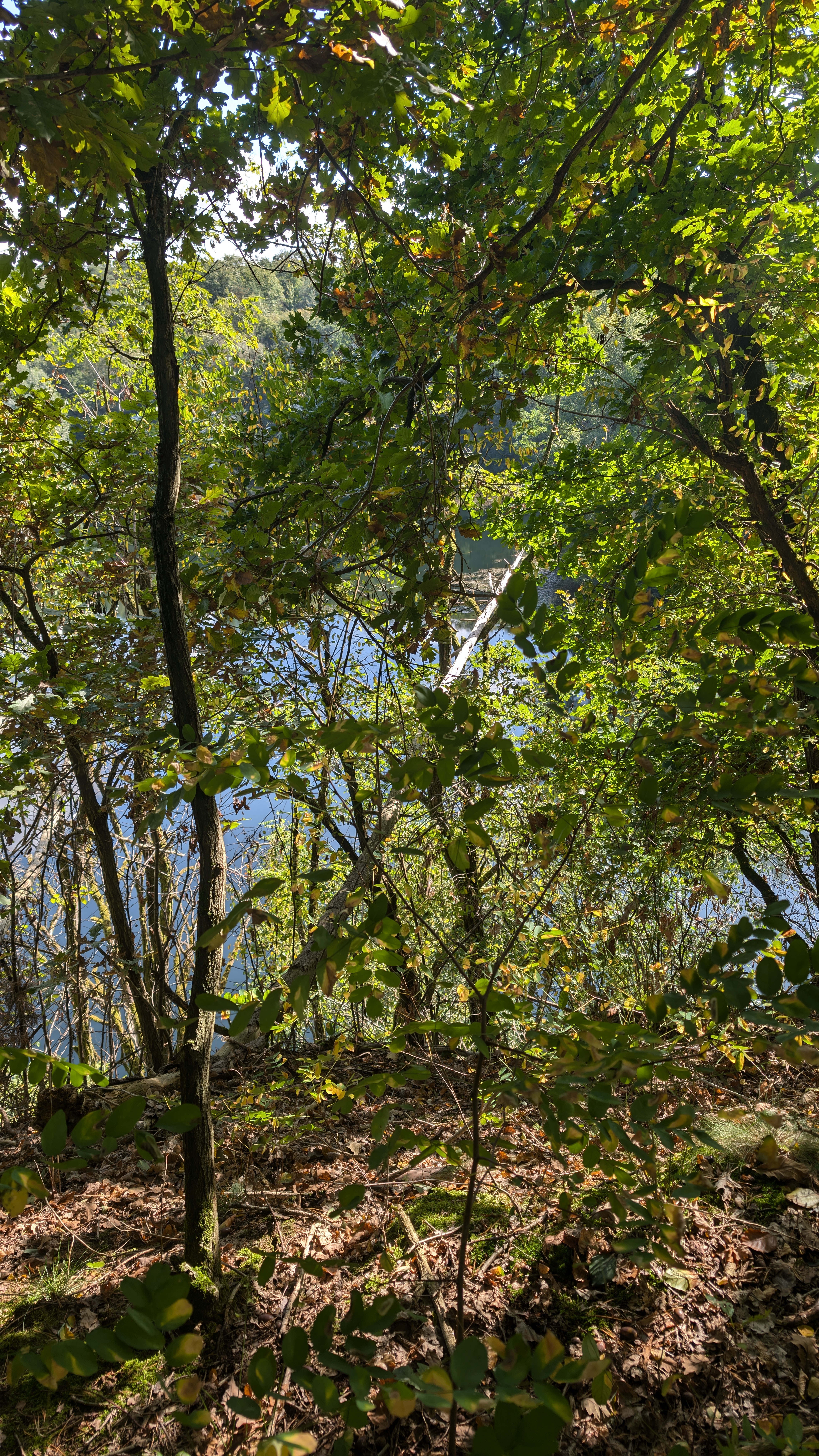 PXL_20240929_102232849.RAW-01.COVER.jpg