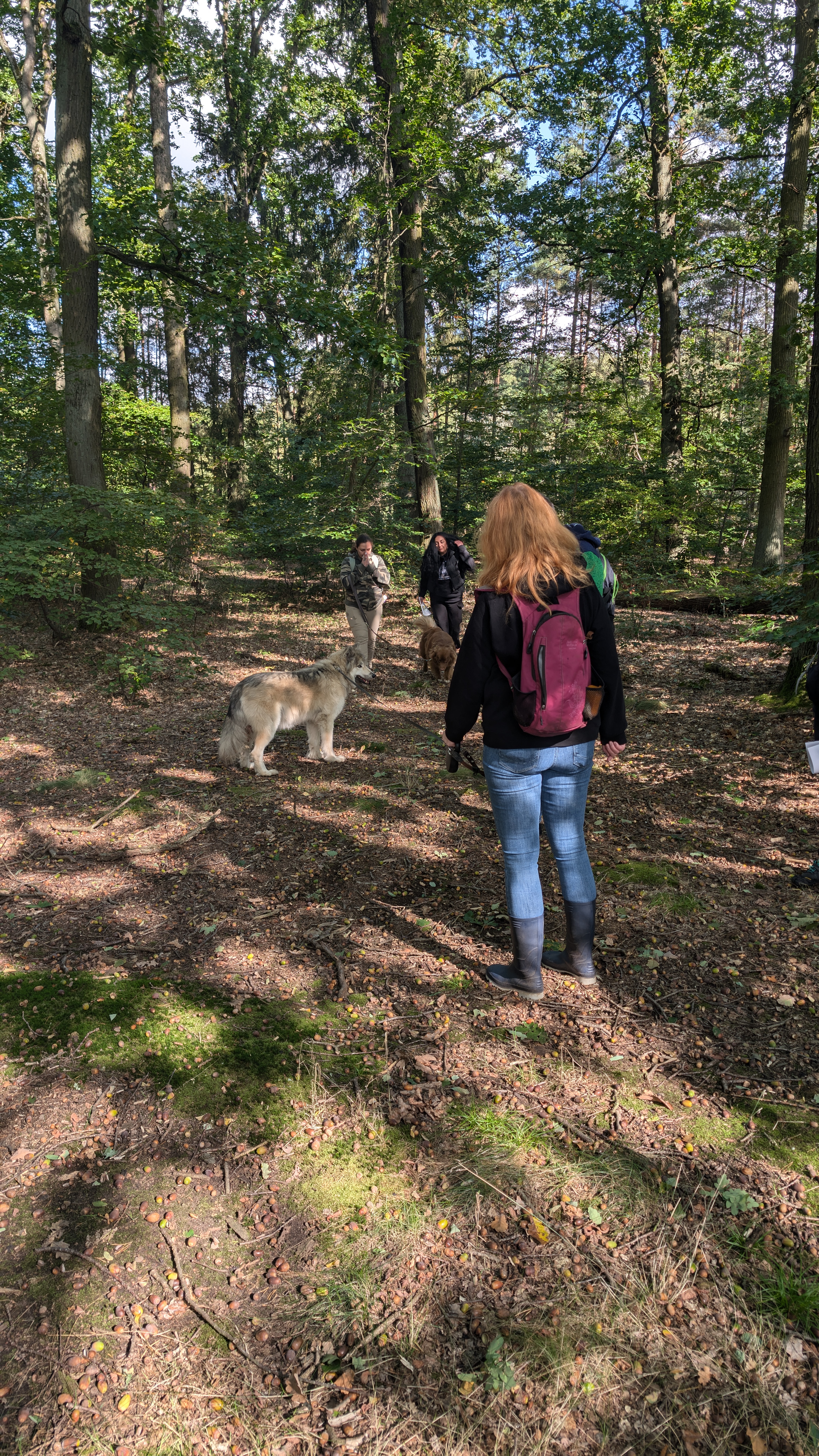 PXL_20240929_103139274.RAW-01.COVER.jpg