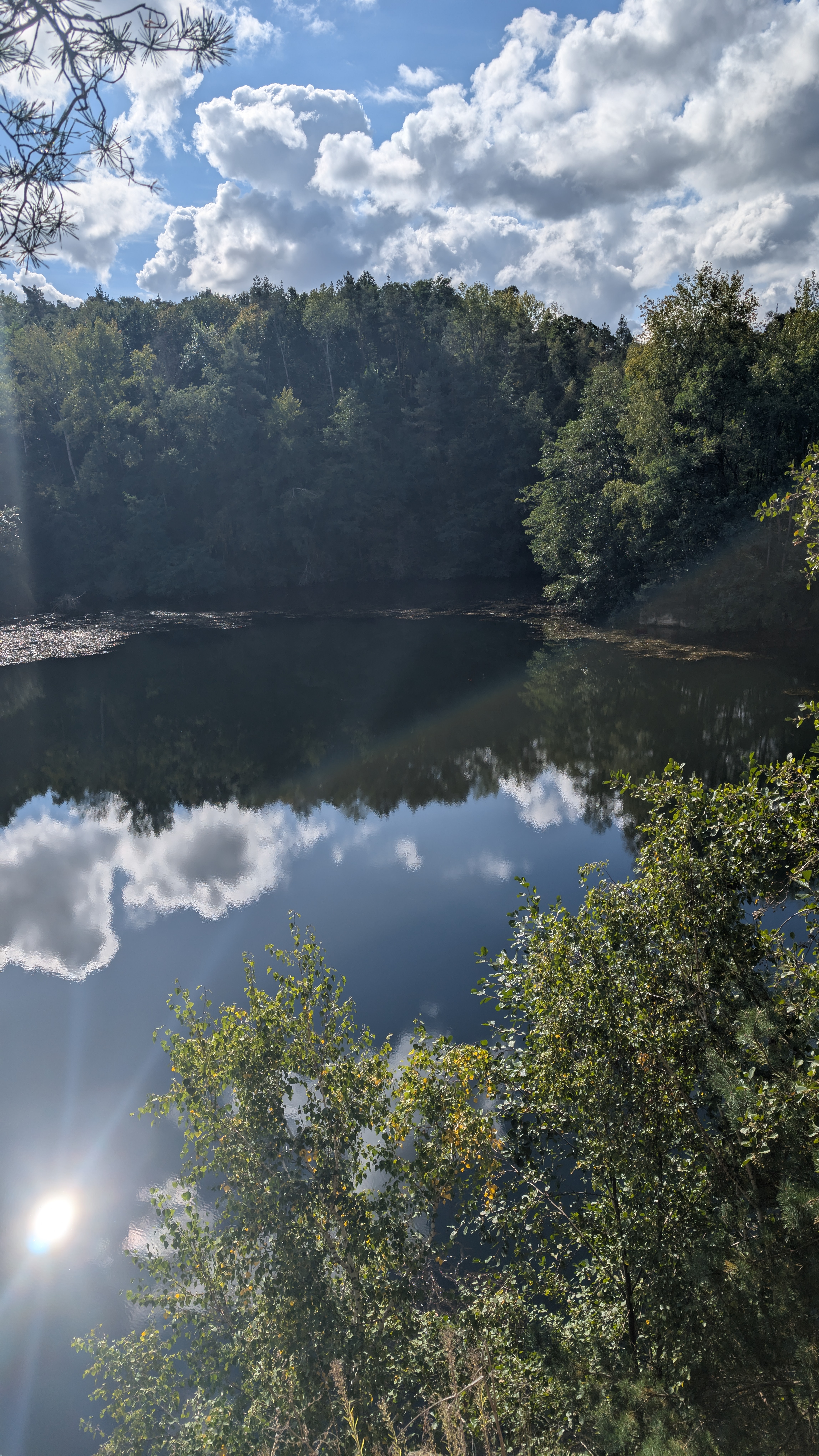 PXL_20240929_103646121.RAW-01.COVER.jpg