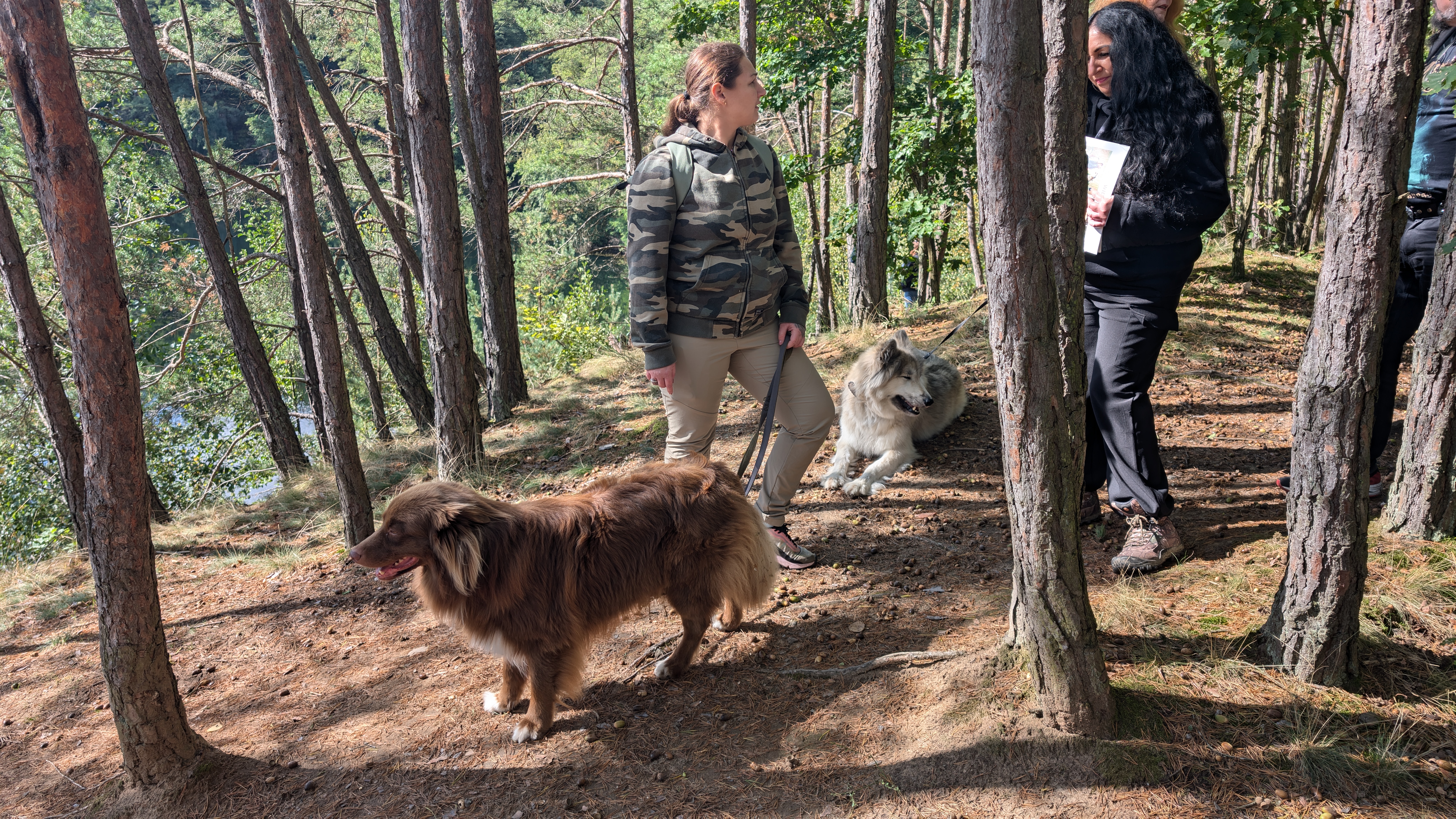 PXL_20240929_103745425.RAW-01.COVER.jpg