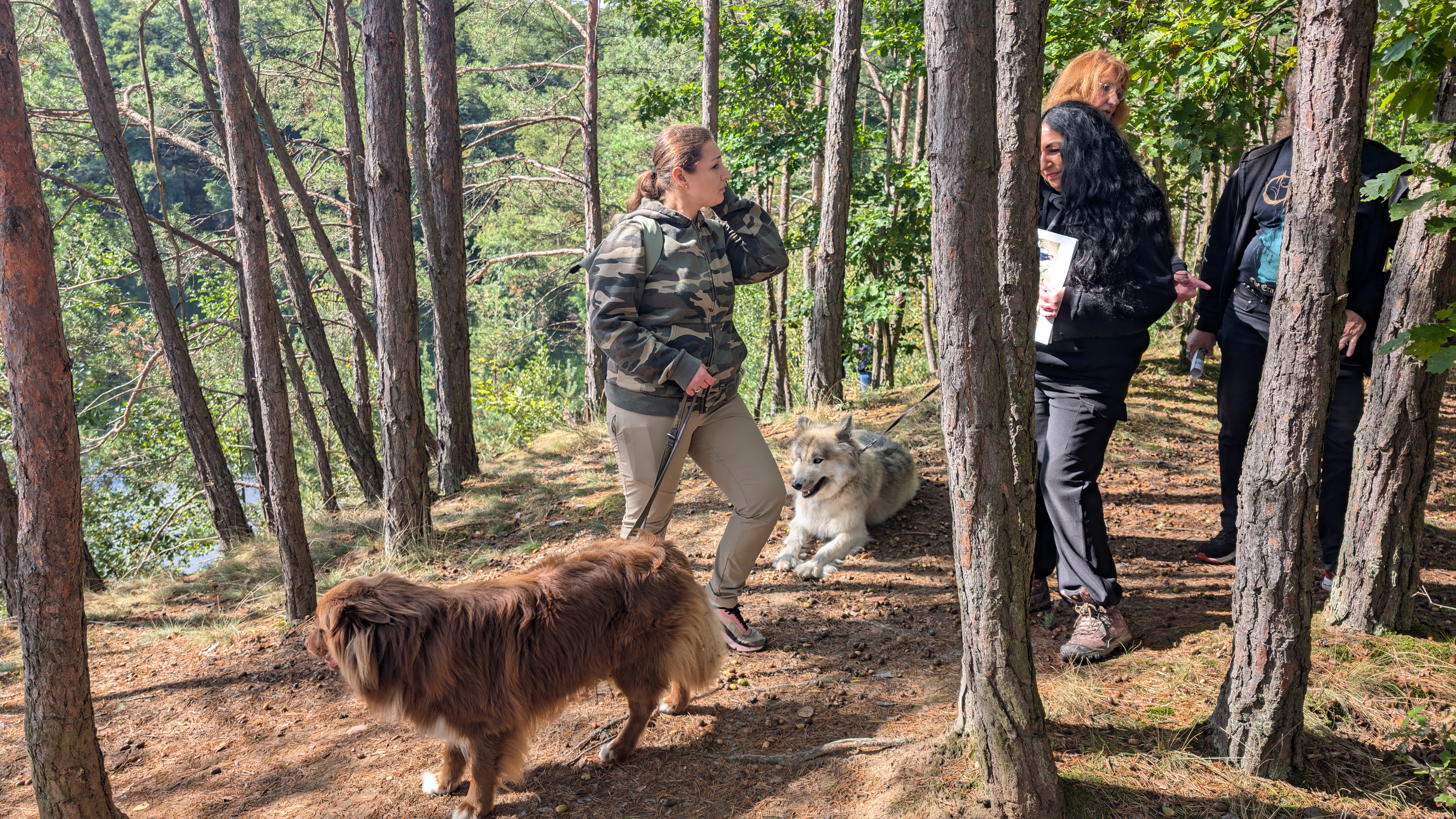 PXL_20240929_103749752.RAW-01.COVER.jpg