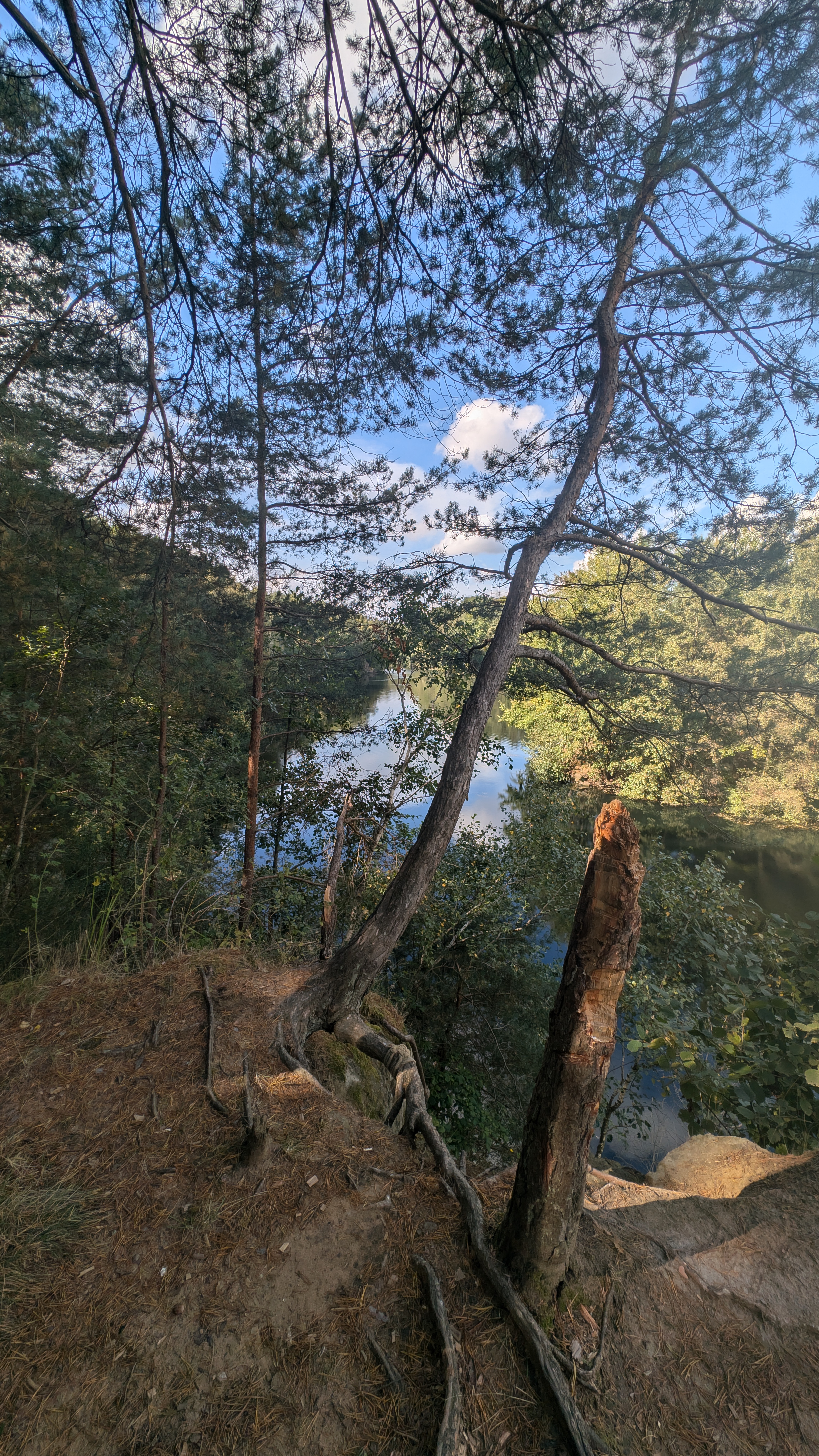 PXL_20240929_104232622.RAW-01.COVER.jpg