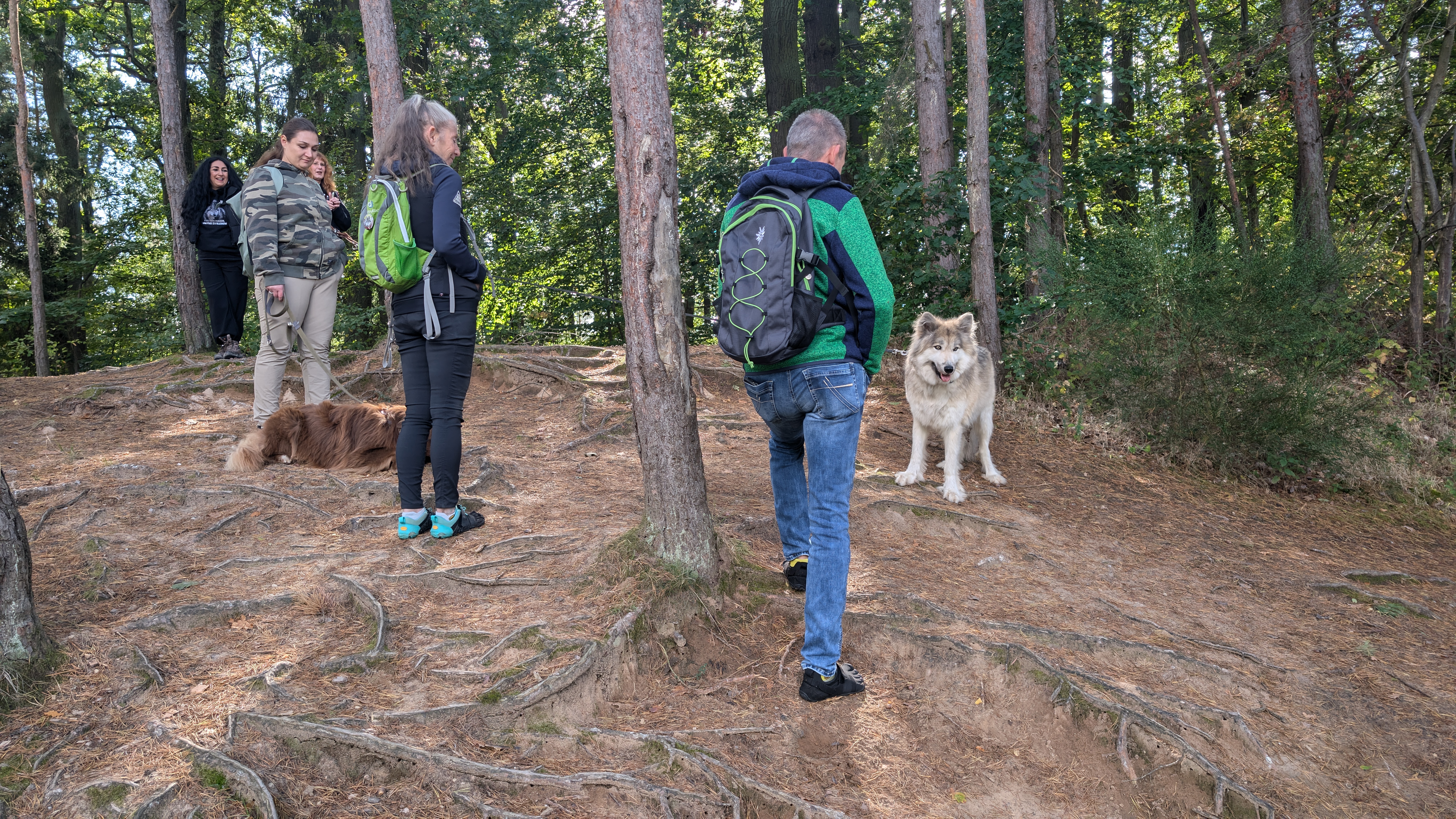 PXL_20240929_104257007.RAW-01.COVER.jpg