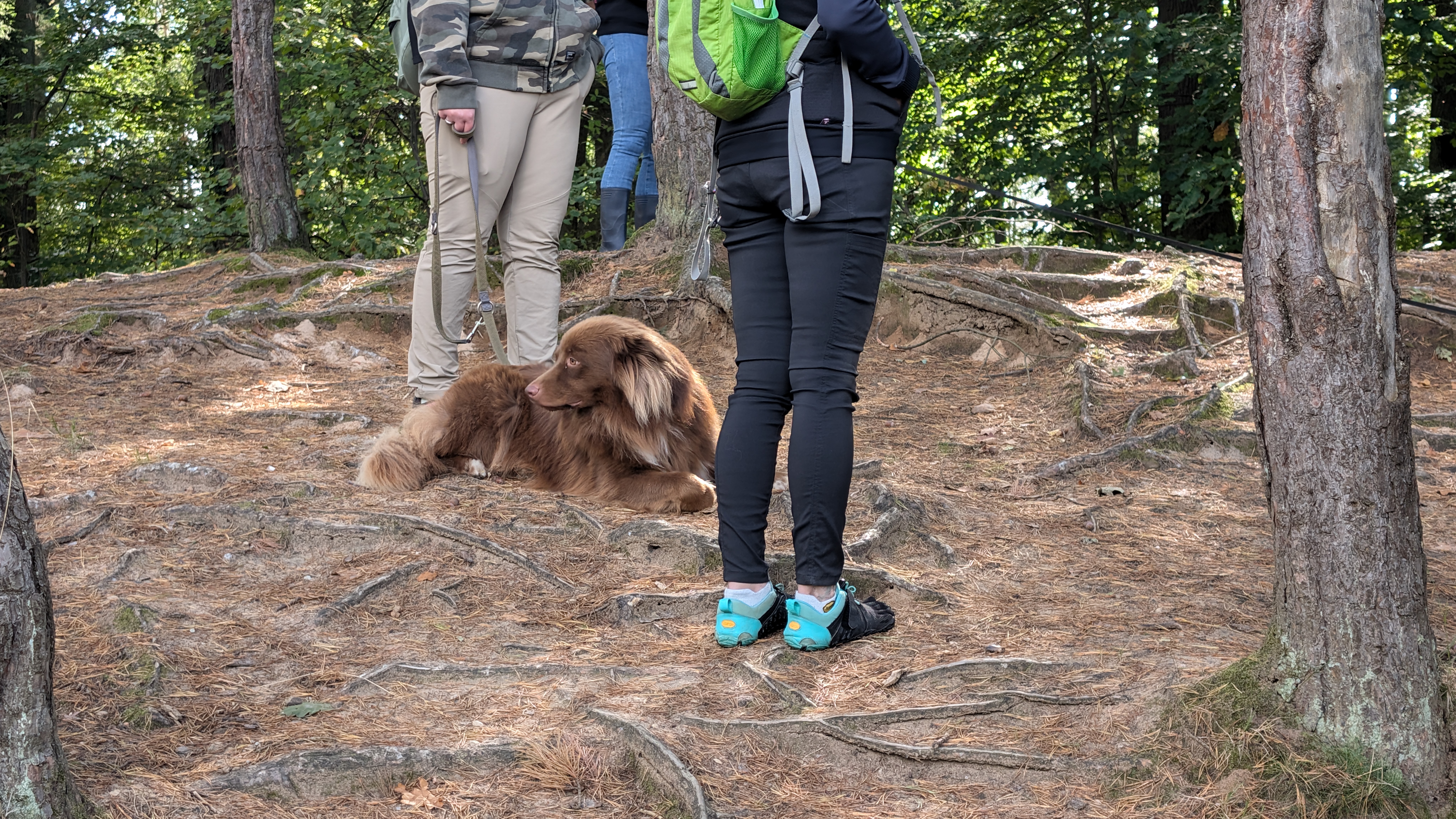 PXL_20240929_104308434.RAW-01.COVER.jpg