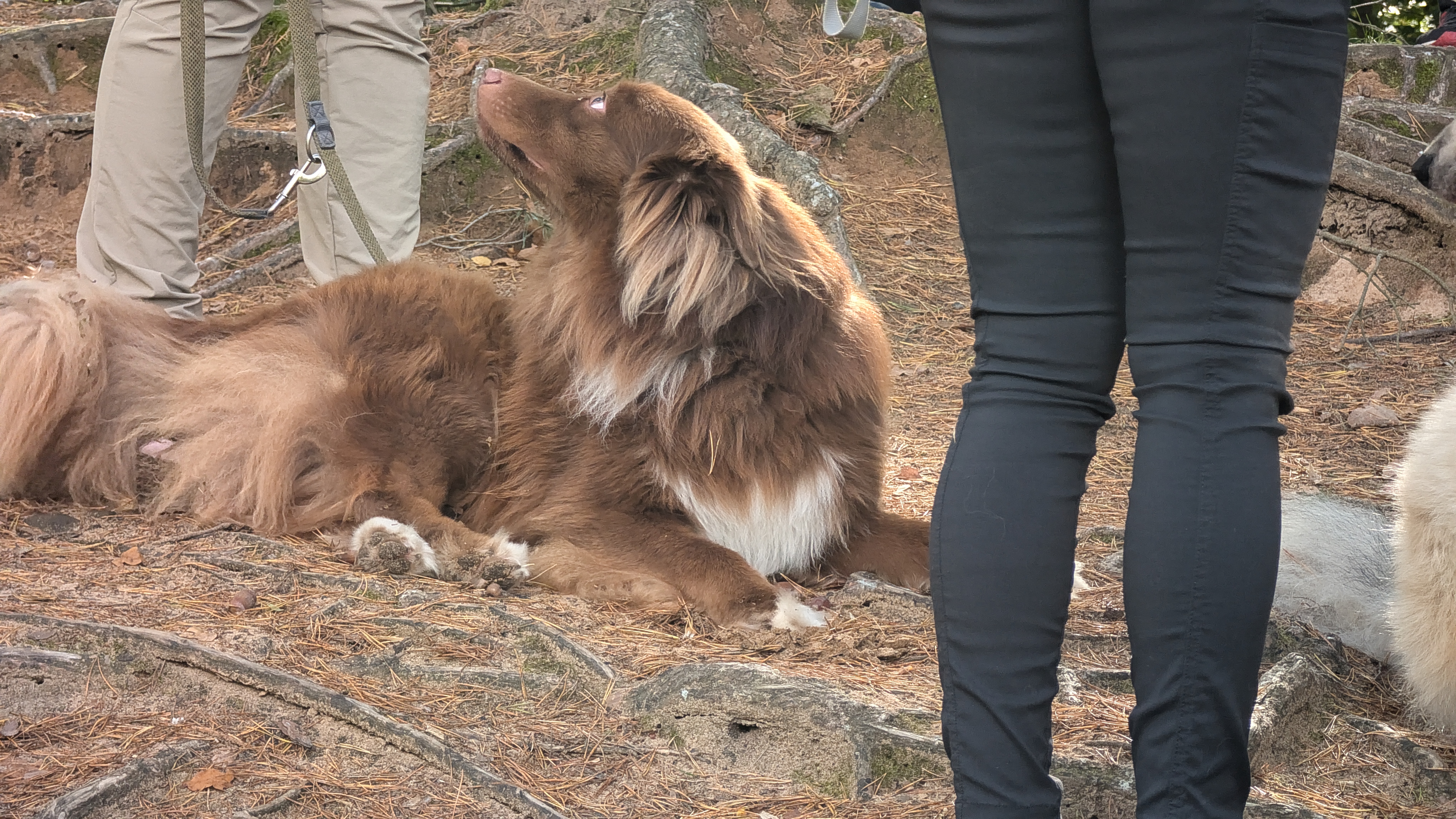 PXL_20240929_104340421.RAW-01.COVER.jpg
