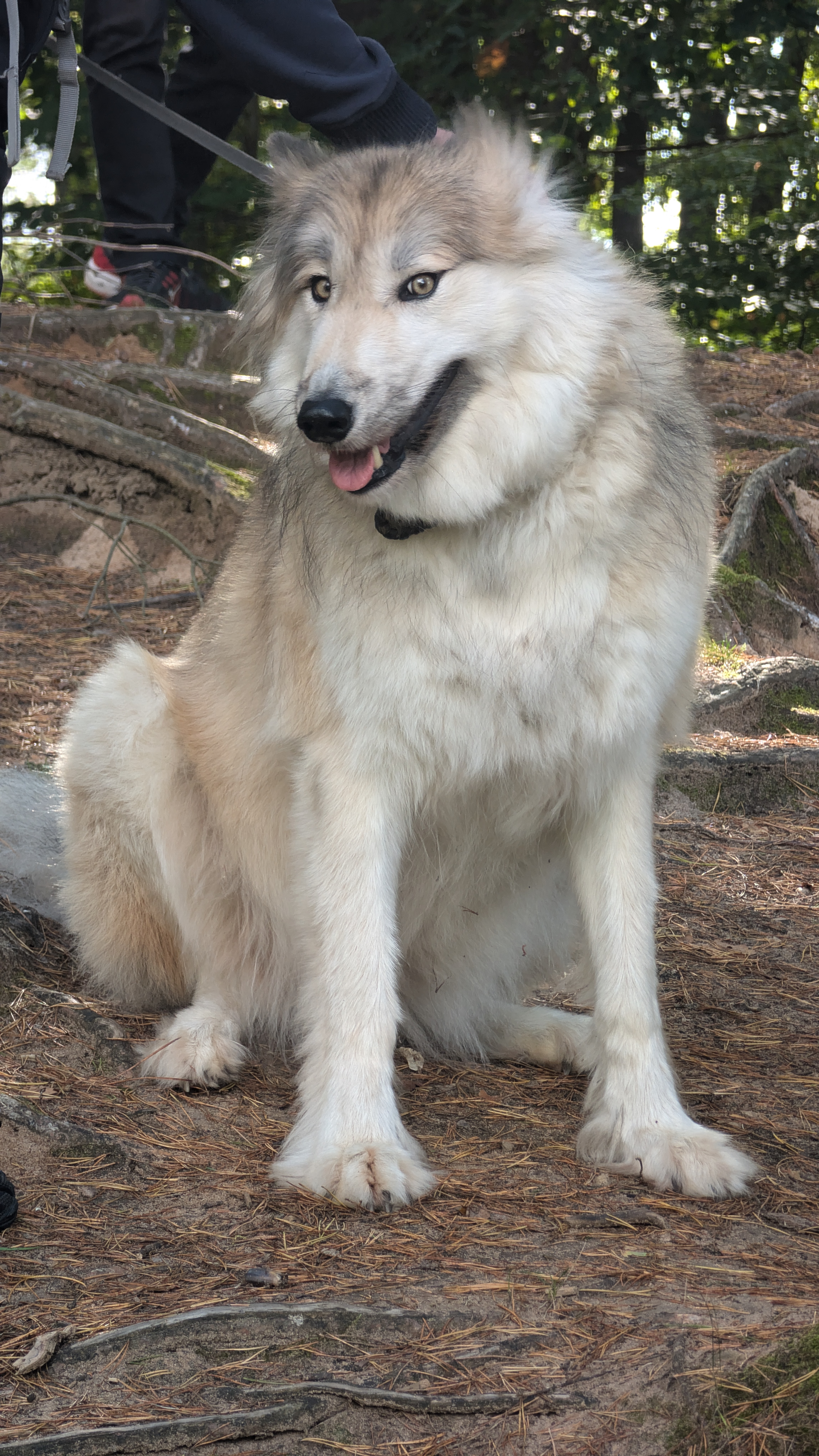 PXL_20240929_104345884.RAW-01.COVER.jpg