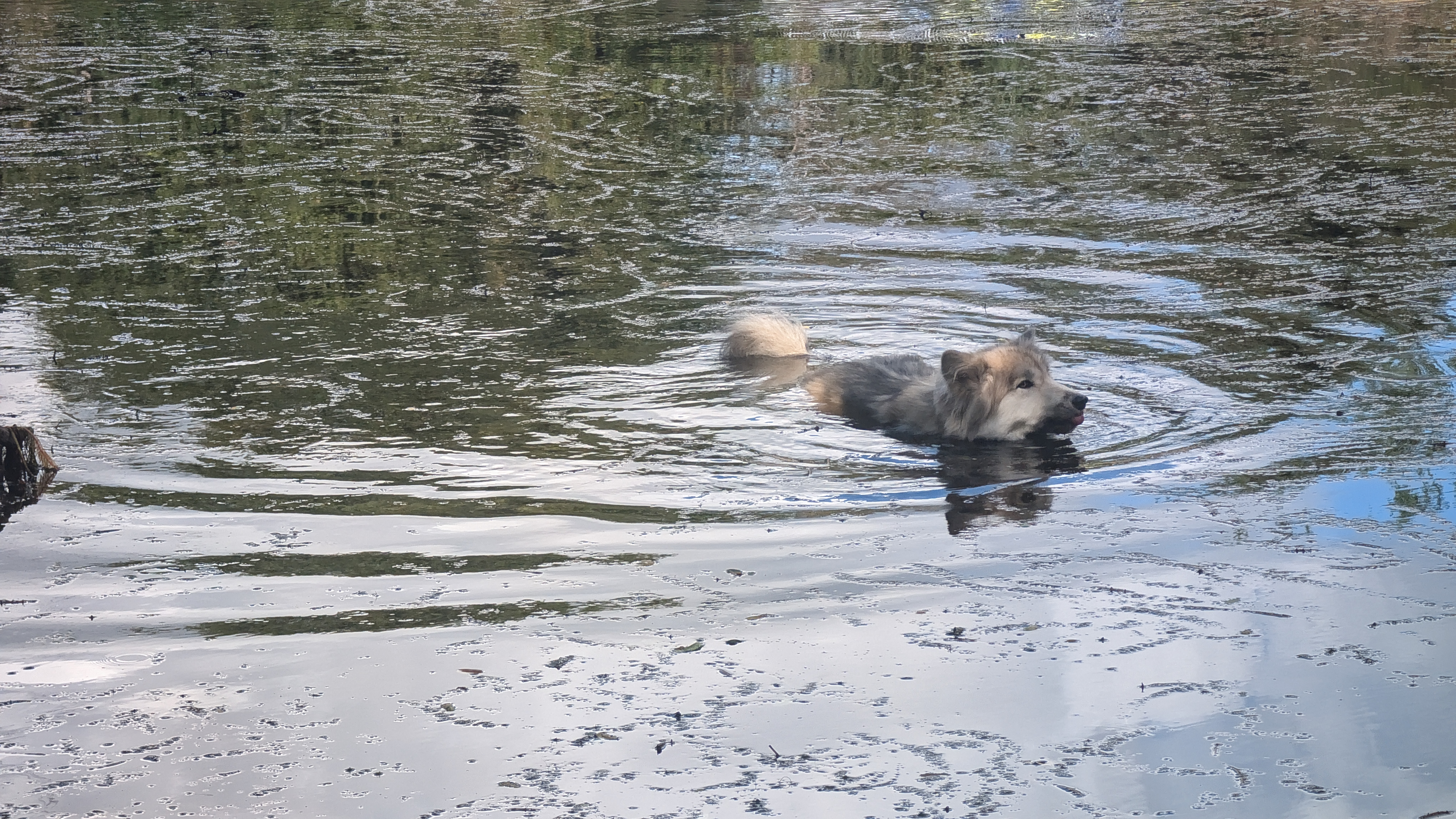 PXL_20240929_105744119.RAW-01.COVER.jpg