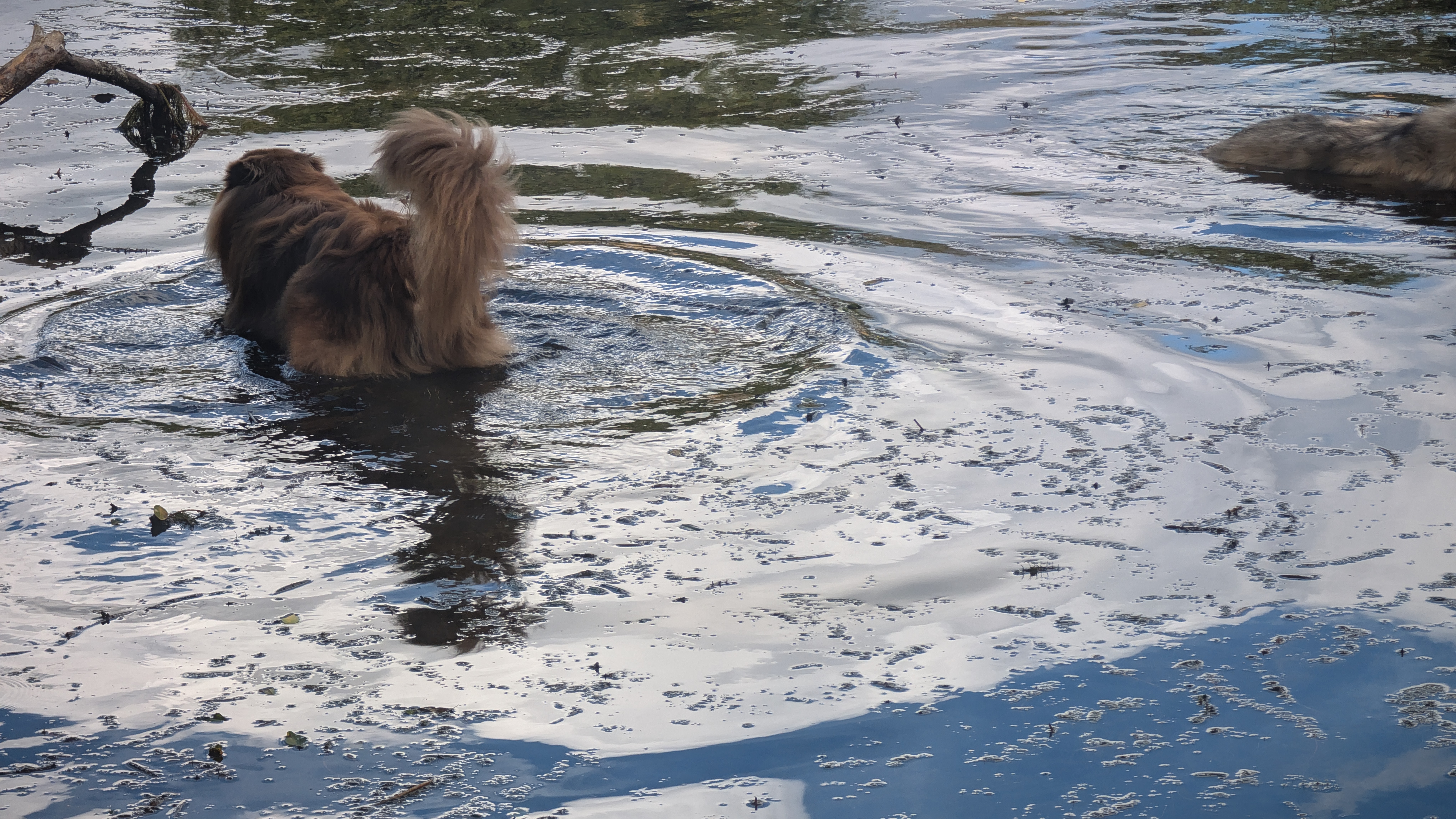 PXL_20240929_105754462.RAW-01.COVER.jpg