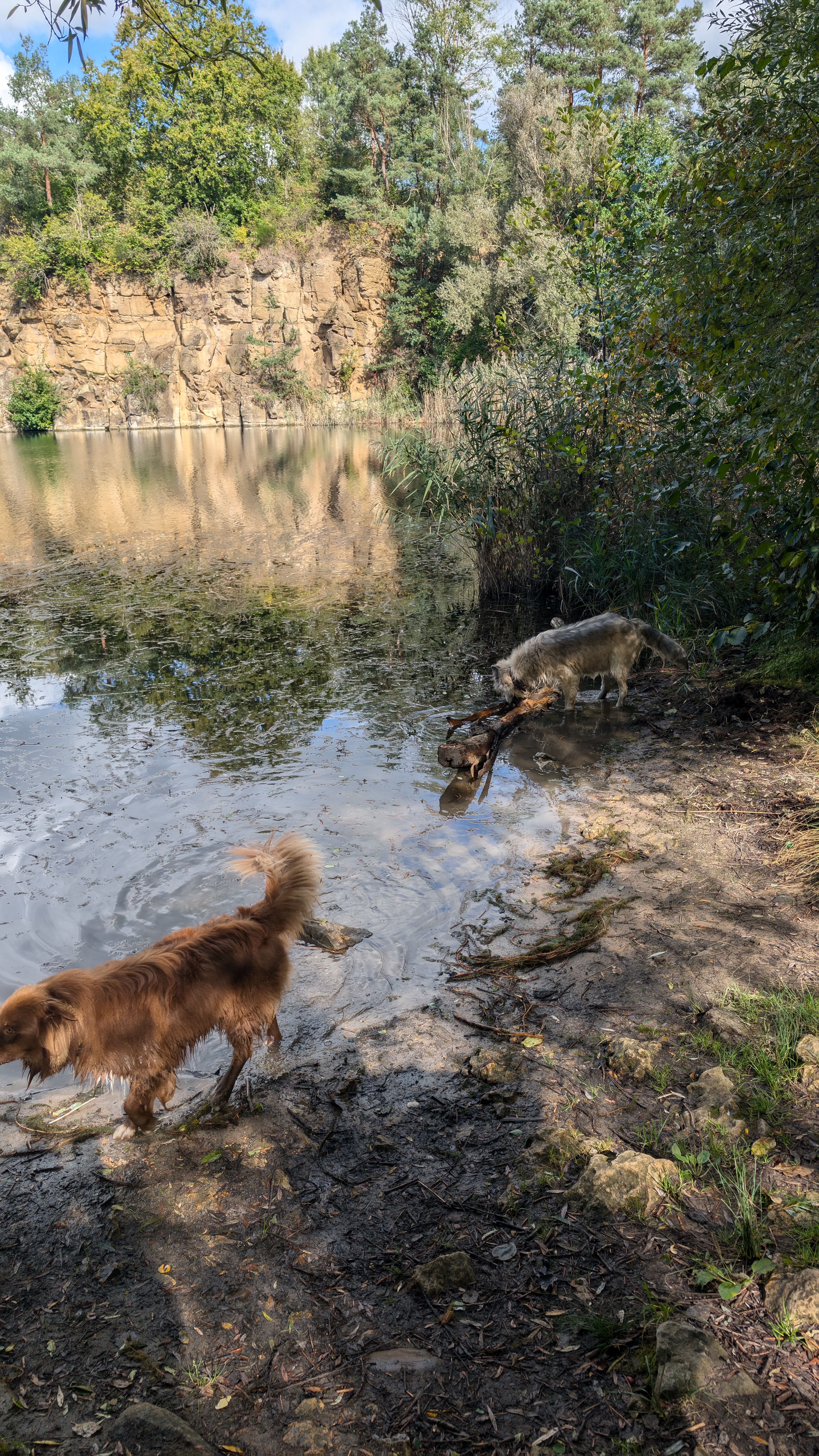 PXL_20240929_110047708.RAW-01.COVER.jpg