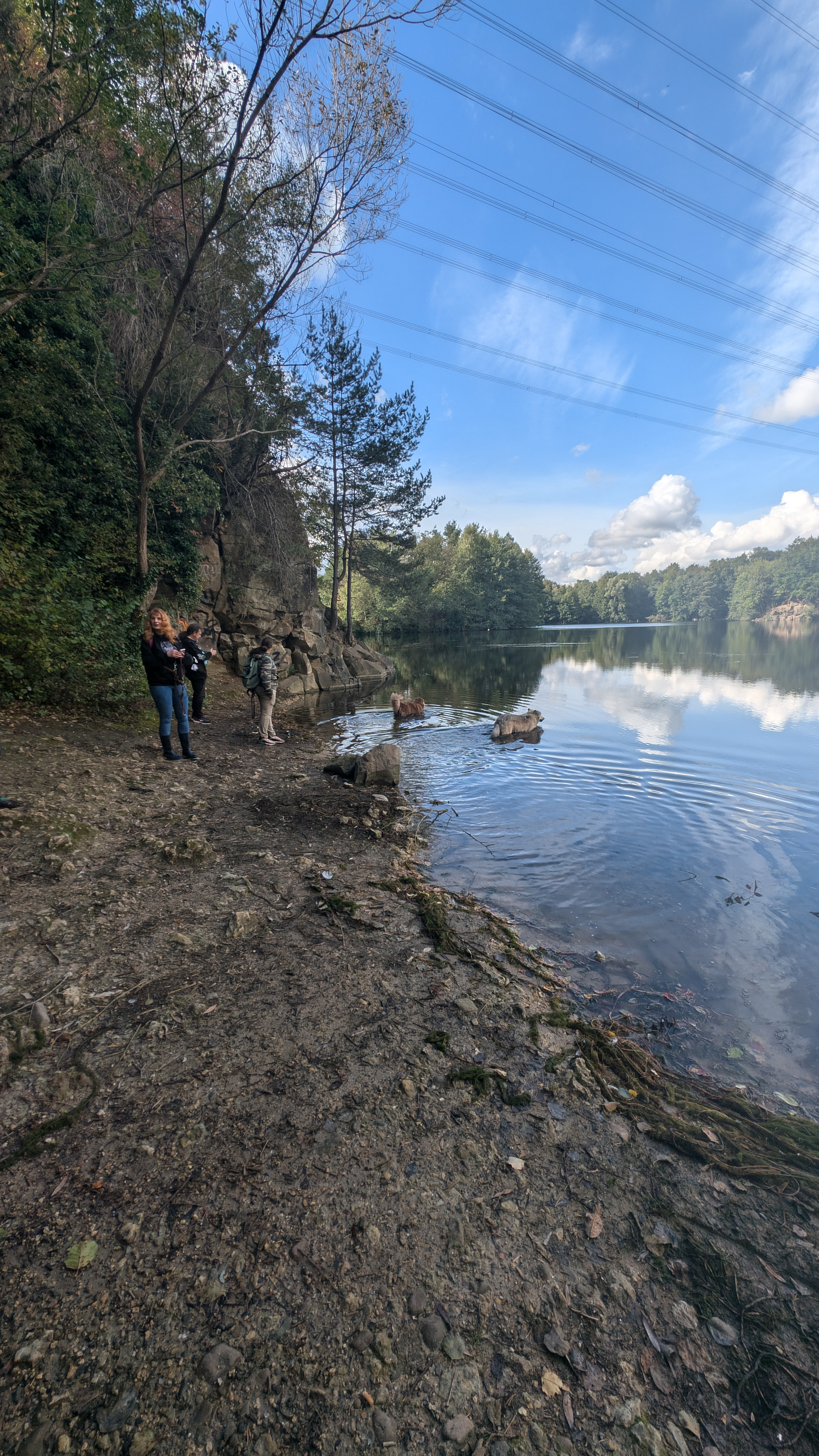 PXL_20240929_110149943.RAW-01.COVER.jpg