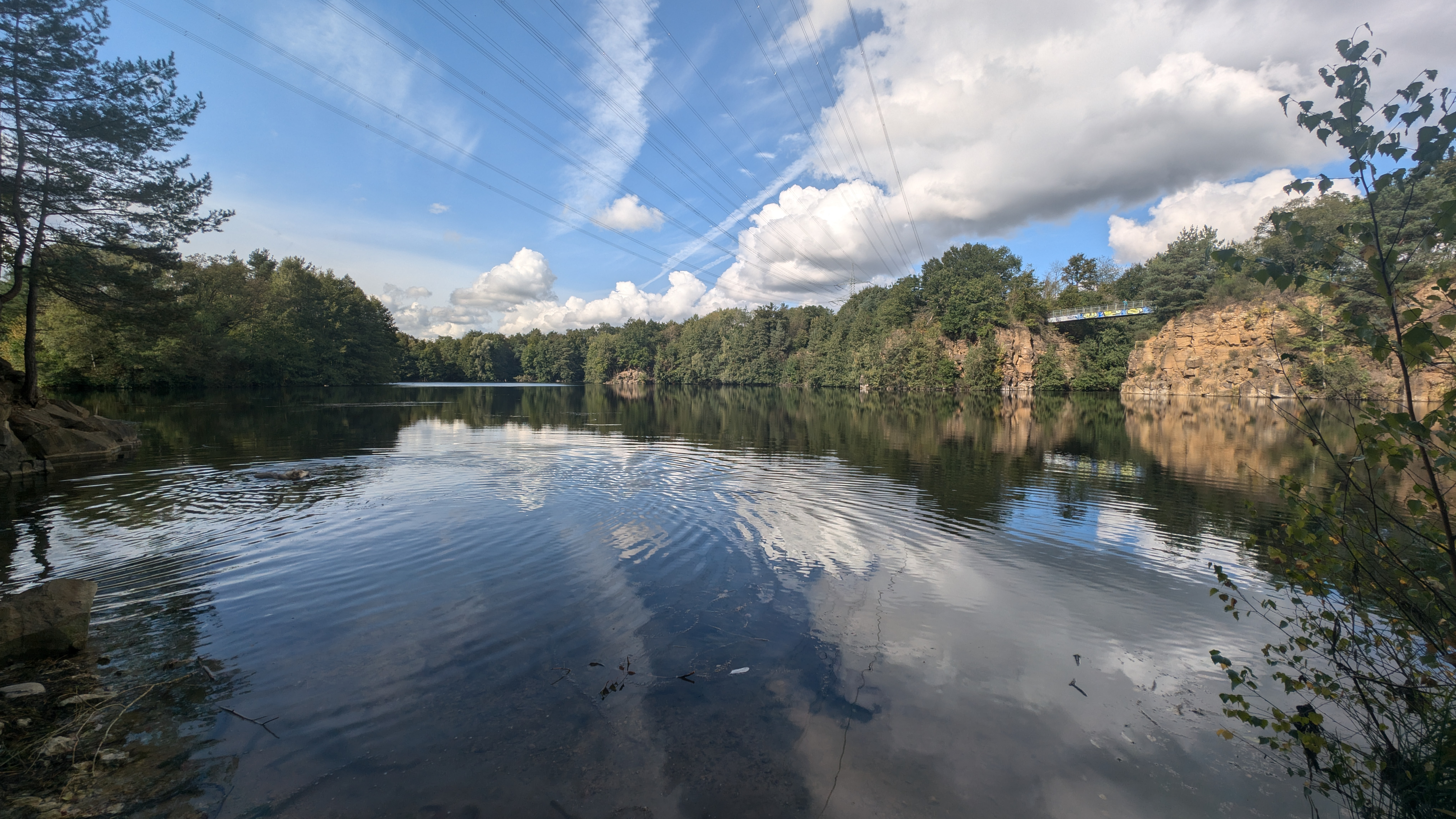 PXL_20240929_110205290.RAW-01.COVER.jpg