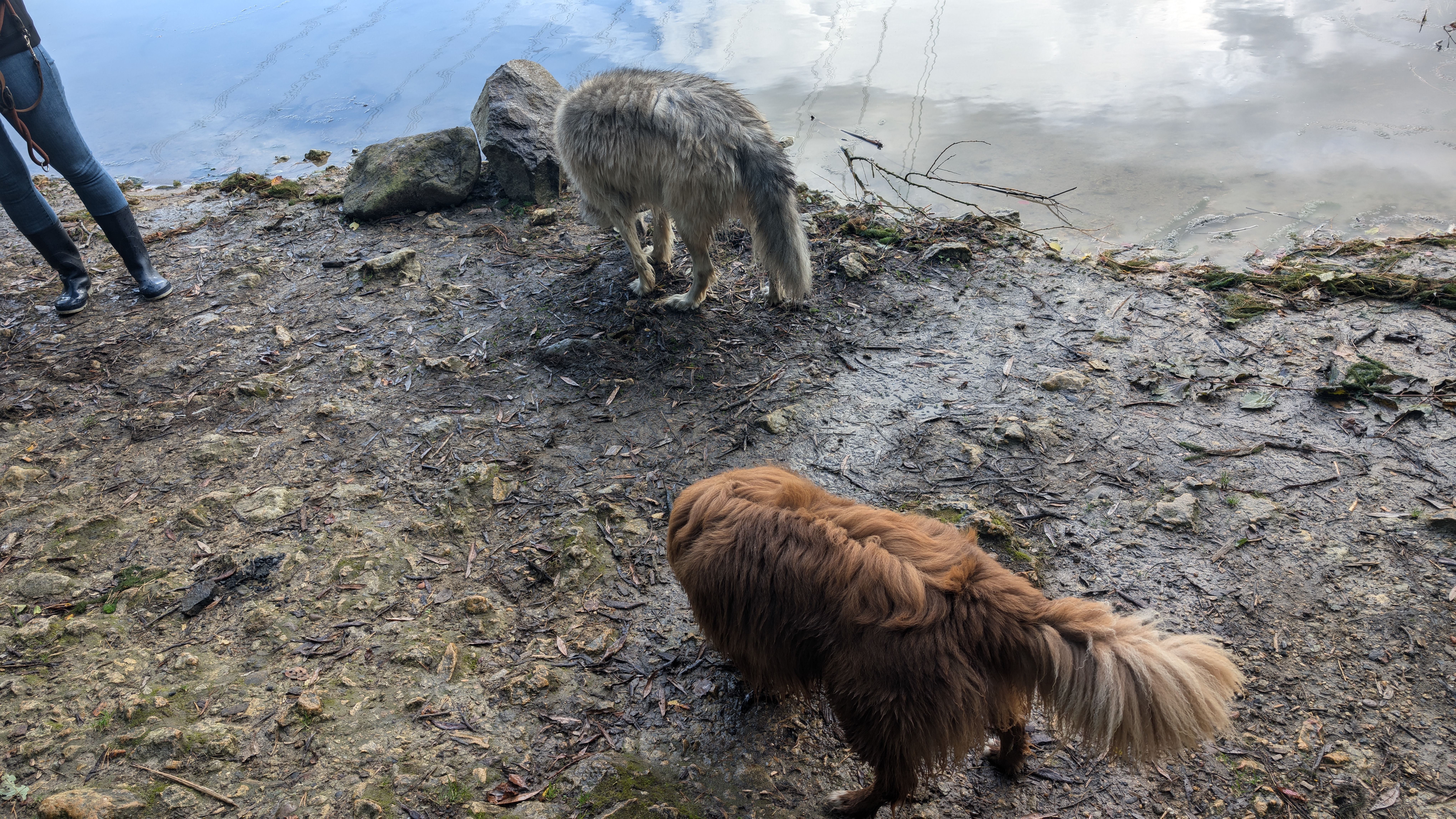 PXL_20240929_110626944.RAW-01.COVER.jpg