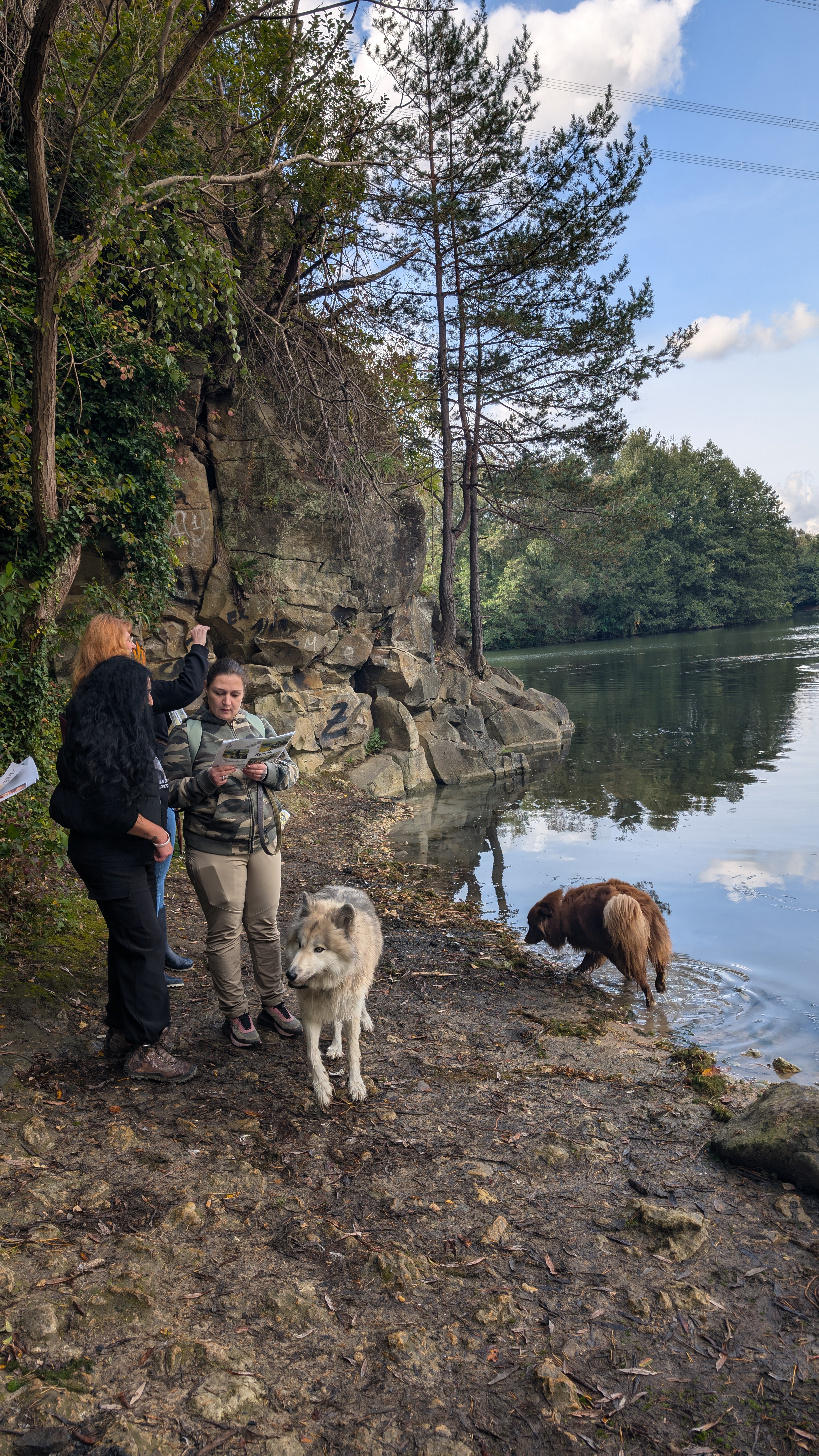 PXL_20240929_110703525.RAW-01.COVER.jpg