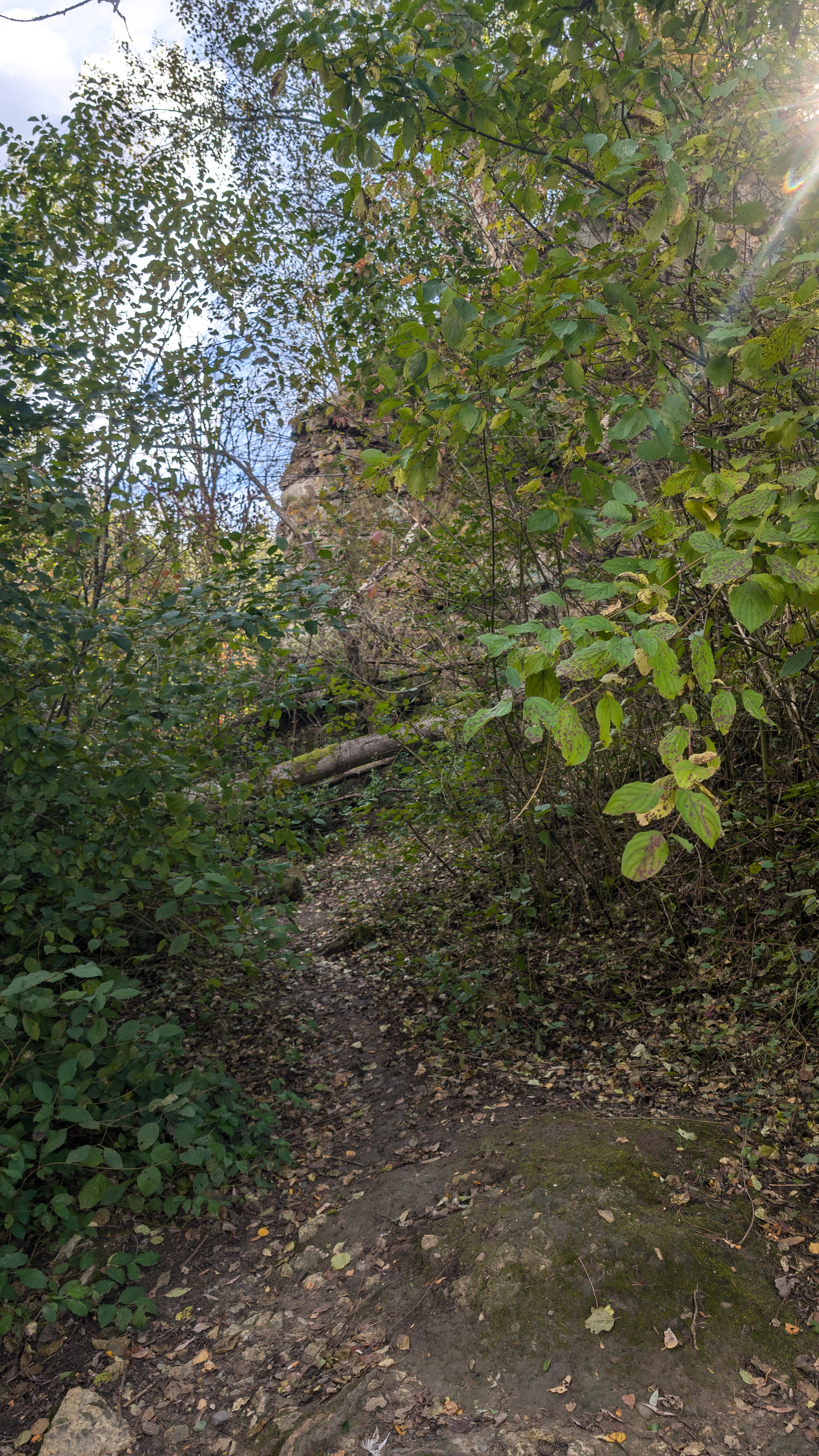 PXL_20240929_110845676.RAW-01.COVER.jpg