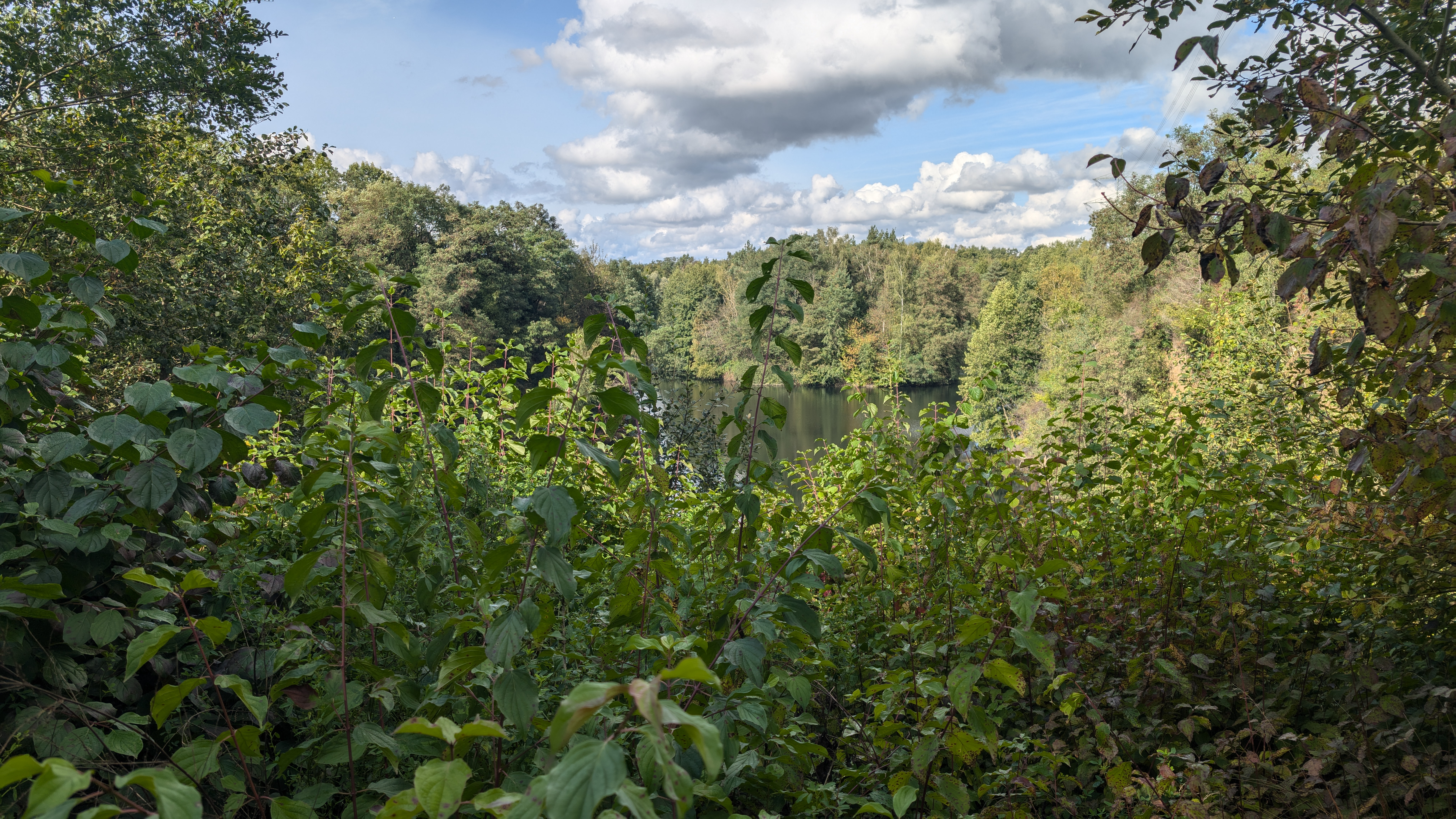 PXL_20240929_111449955.RAW-01.COVER.jpg