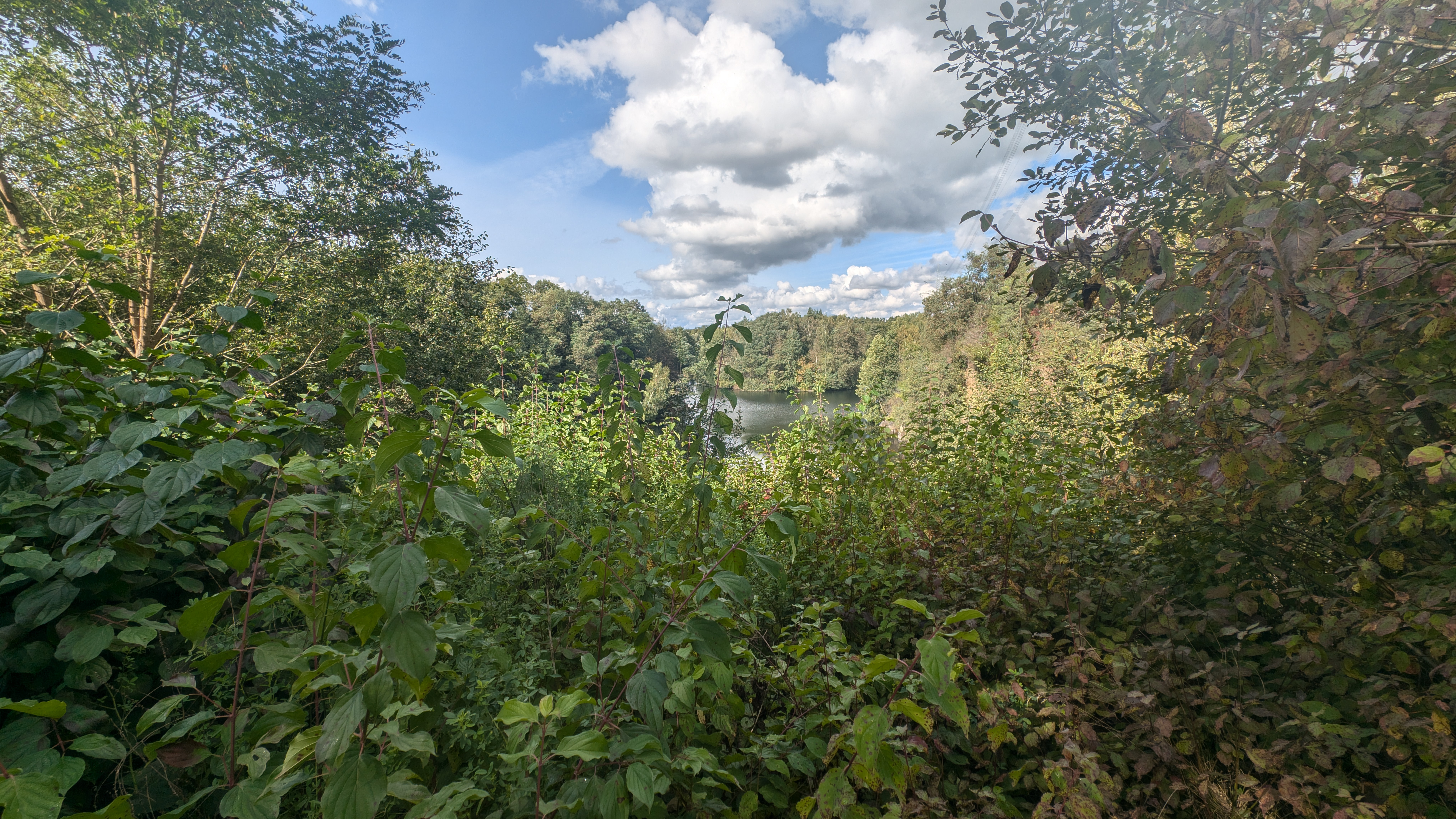 PXL_20240929_111533095.RAW-01.COVER.jpg