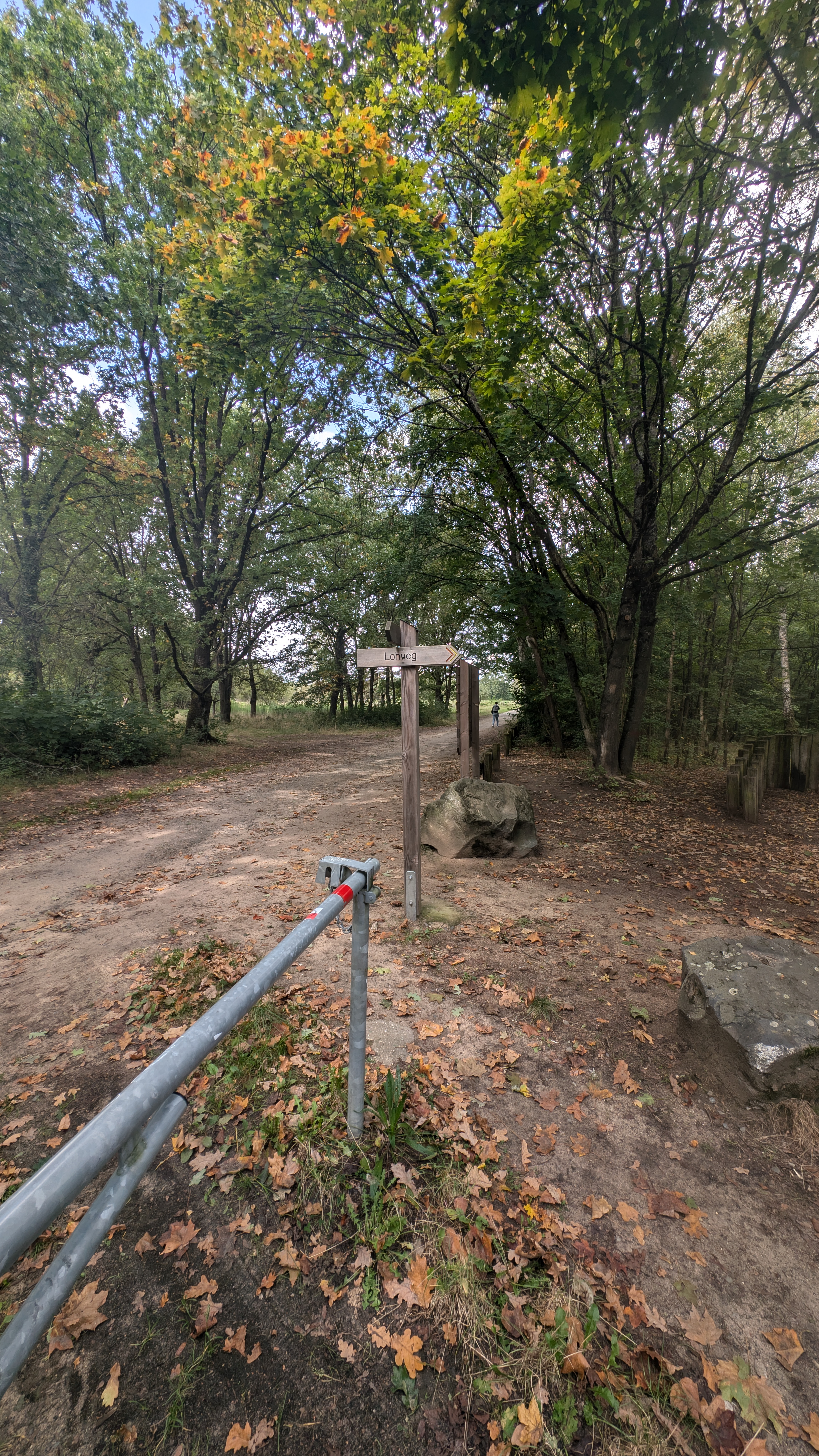 PXL_20240929_111830092.RAW-01.COVER.jpg