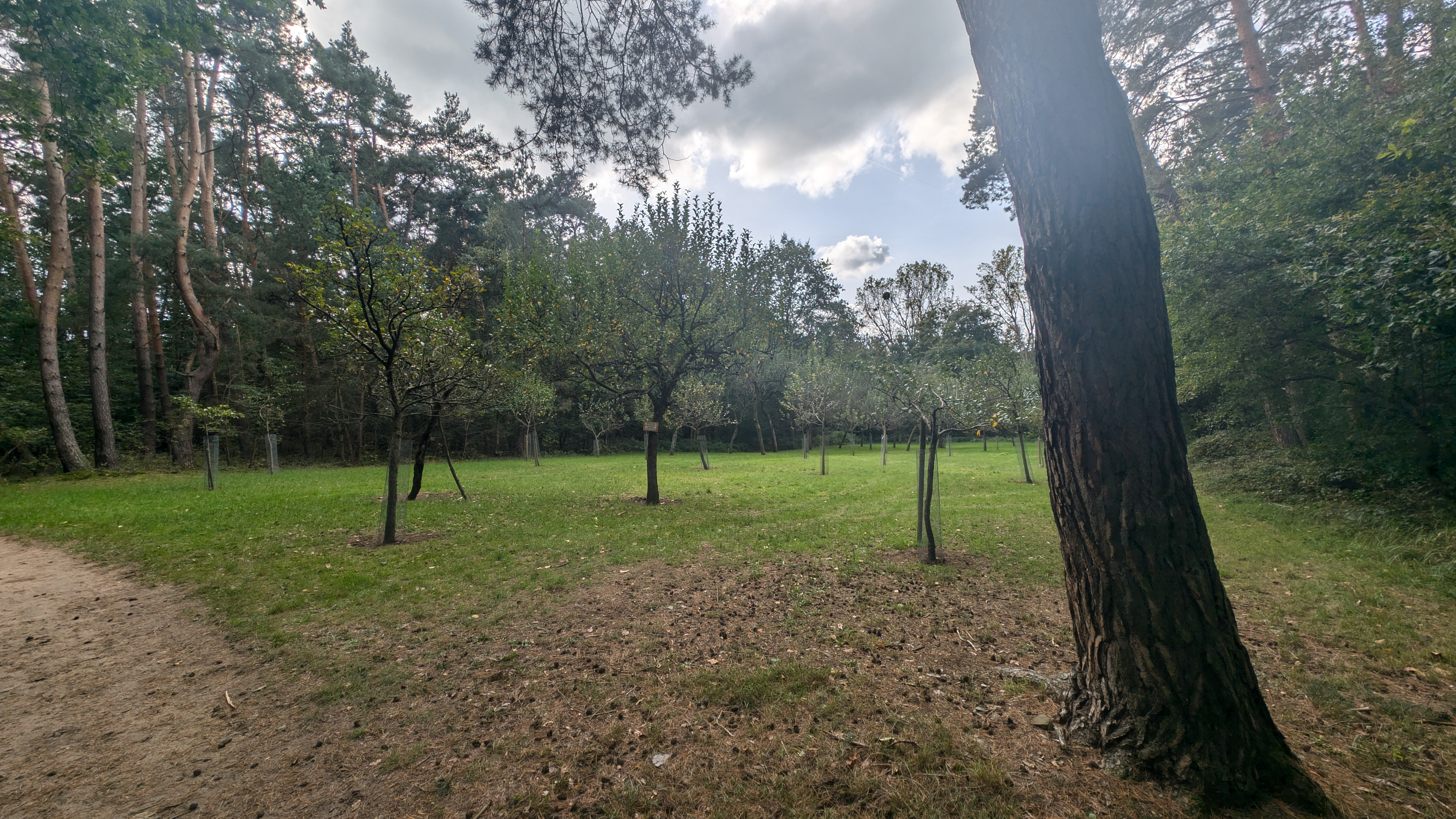 PXL_20240929_112330158.RAW-01.COVER.jpg