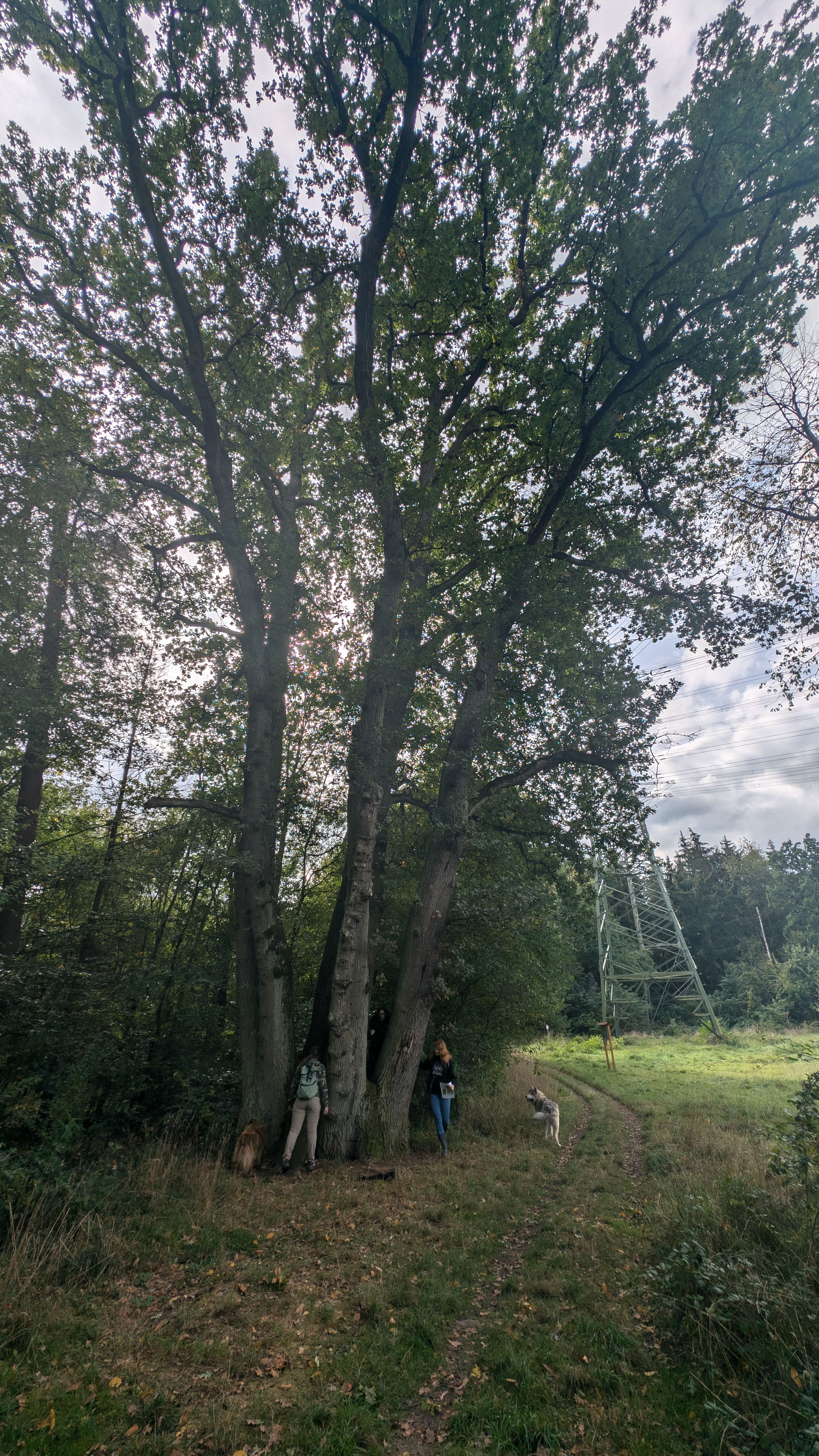 PXL_20240929_115050836.RAW-01.COVER.jpg