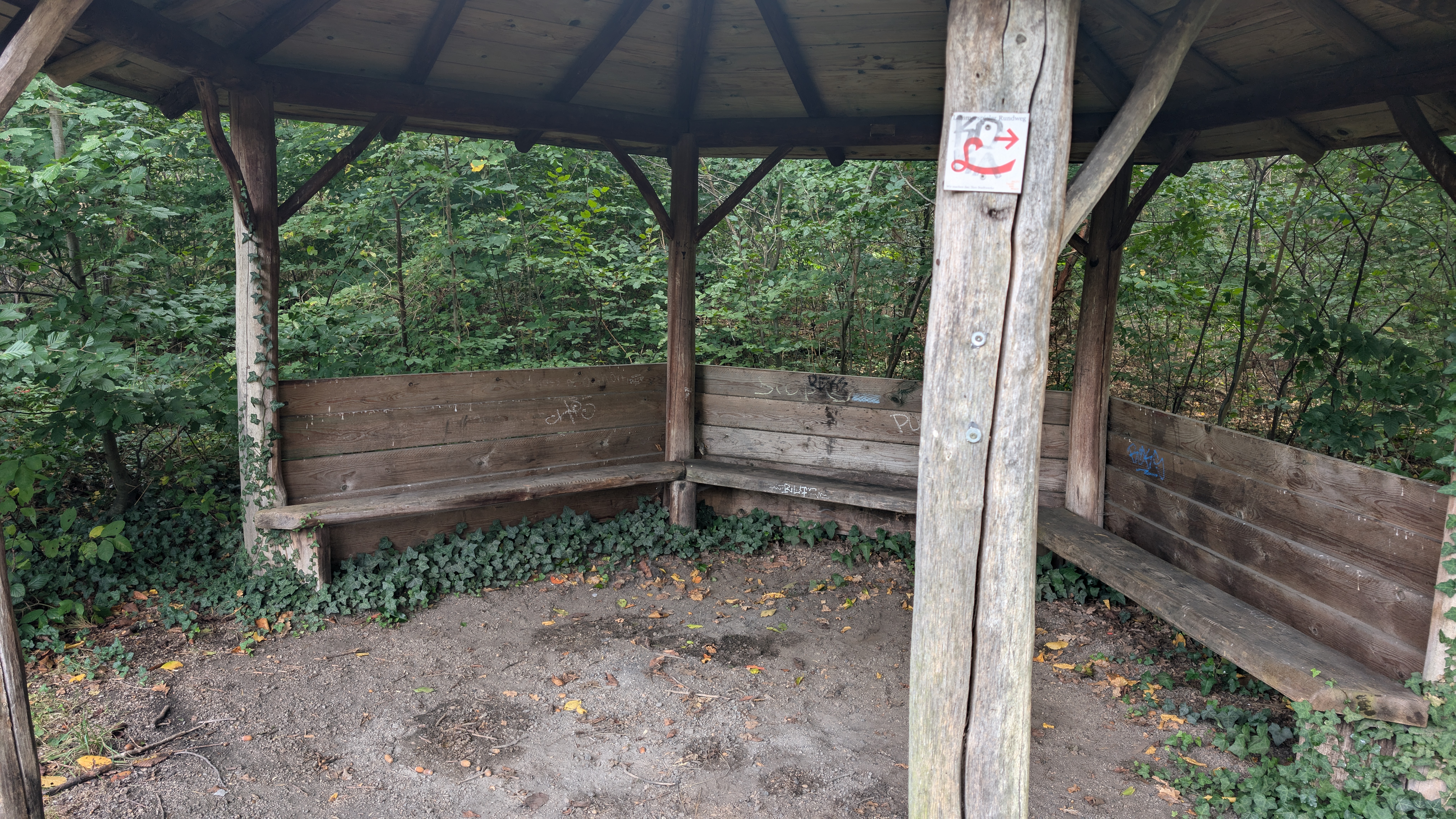 PXL_20240929_115114911.RAW-01.COVER.jpg