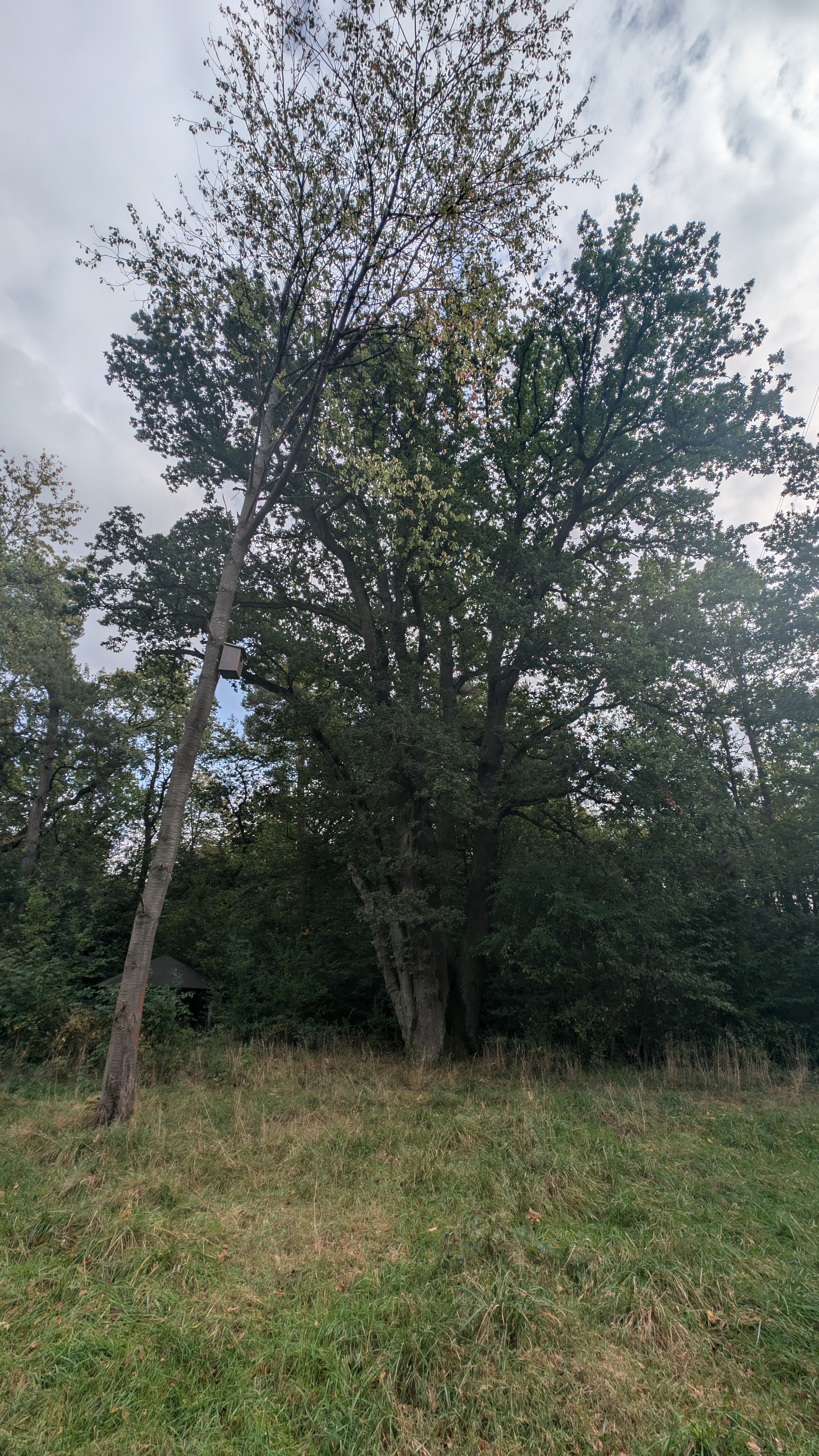 PXL_20240929_115540511.RAW-01.COVER.jpg