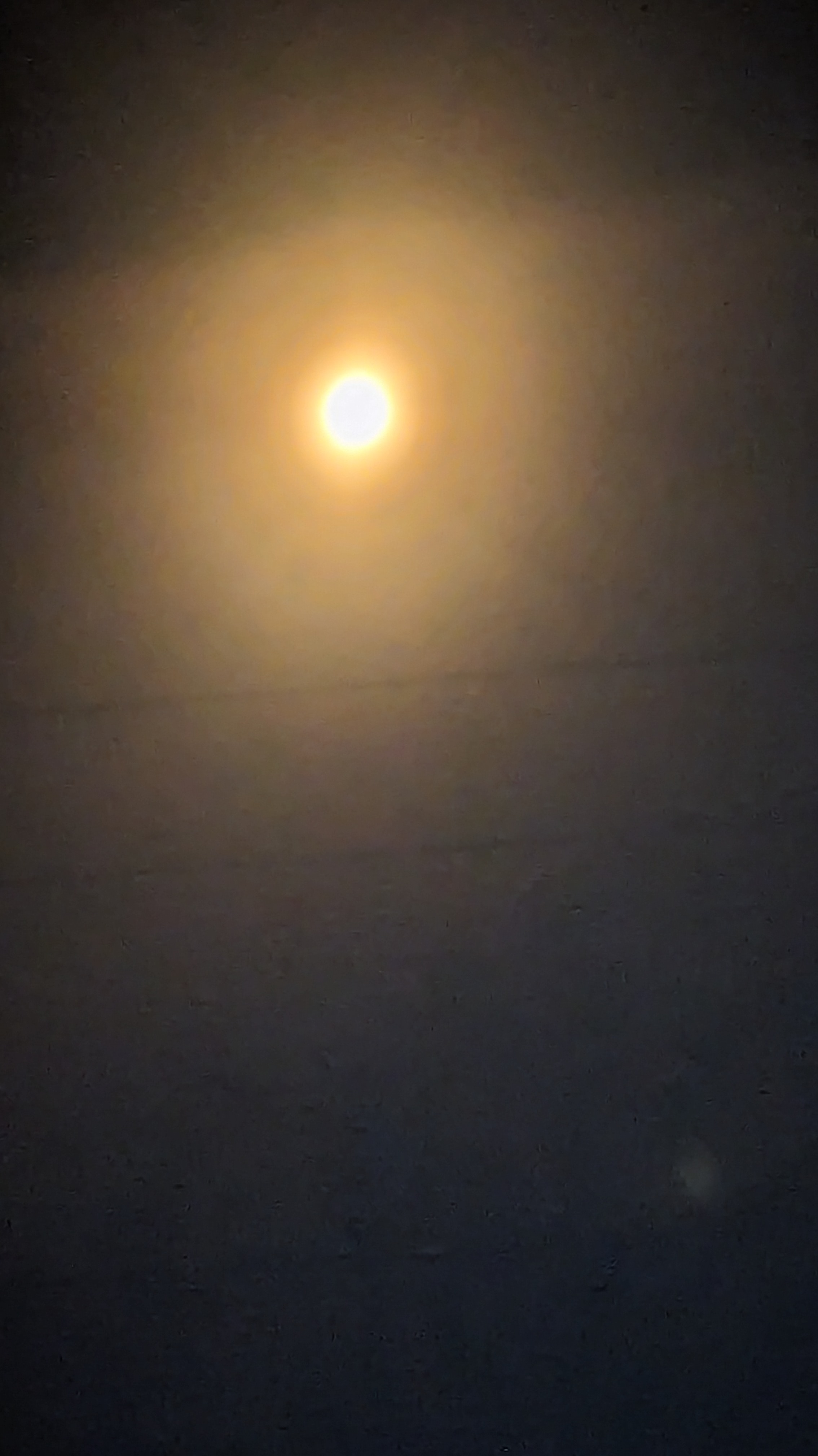 PXL_20240408_182015302.RAW-01.MP.COVER.jpg
