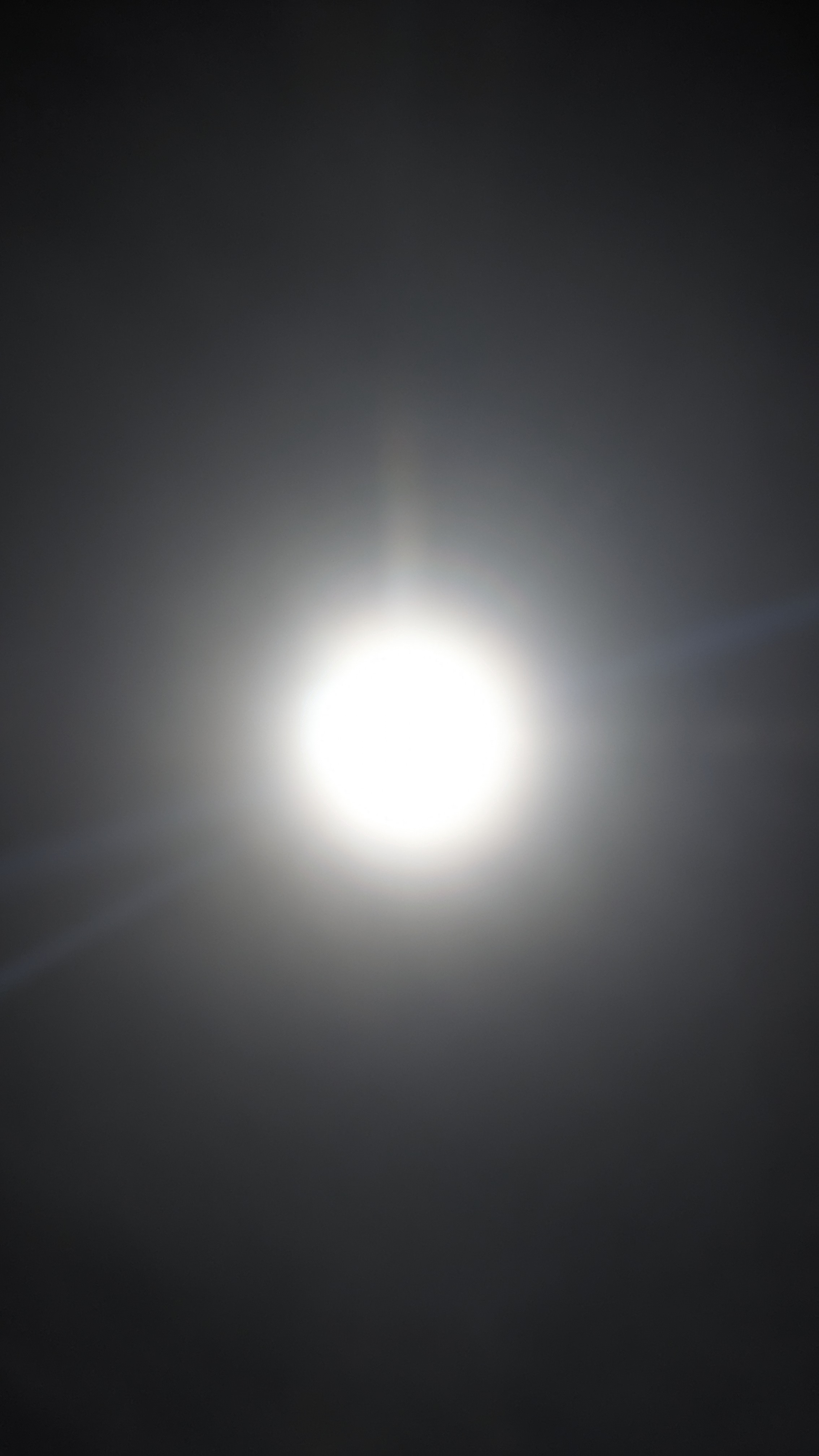 PXL_20240408_185008711.RAW-01.MP.COVER.jpg