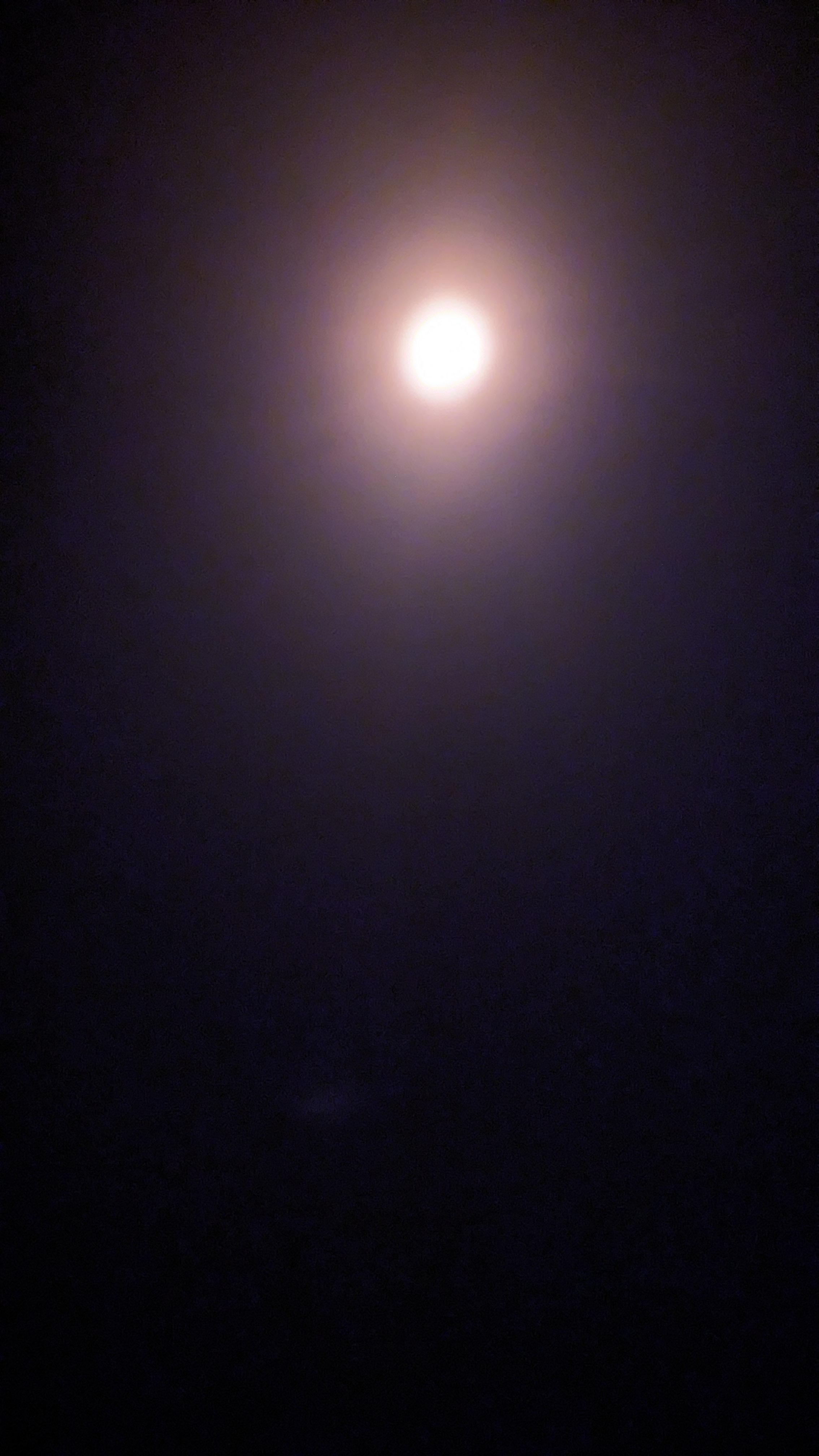 PXL_20240408_185114121.RAW-01.MP.COVER.jpg