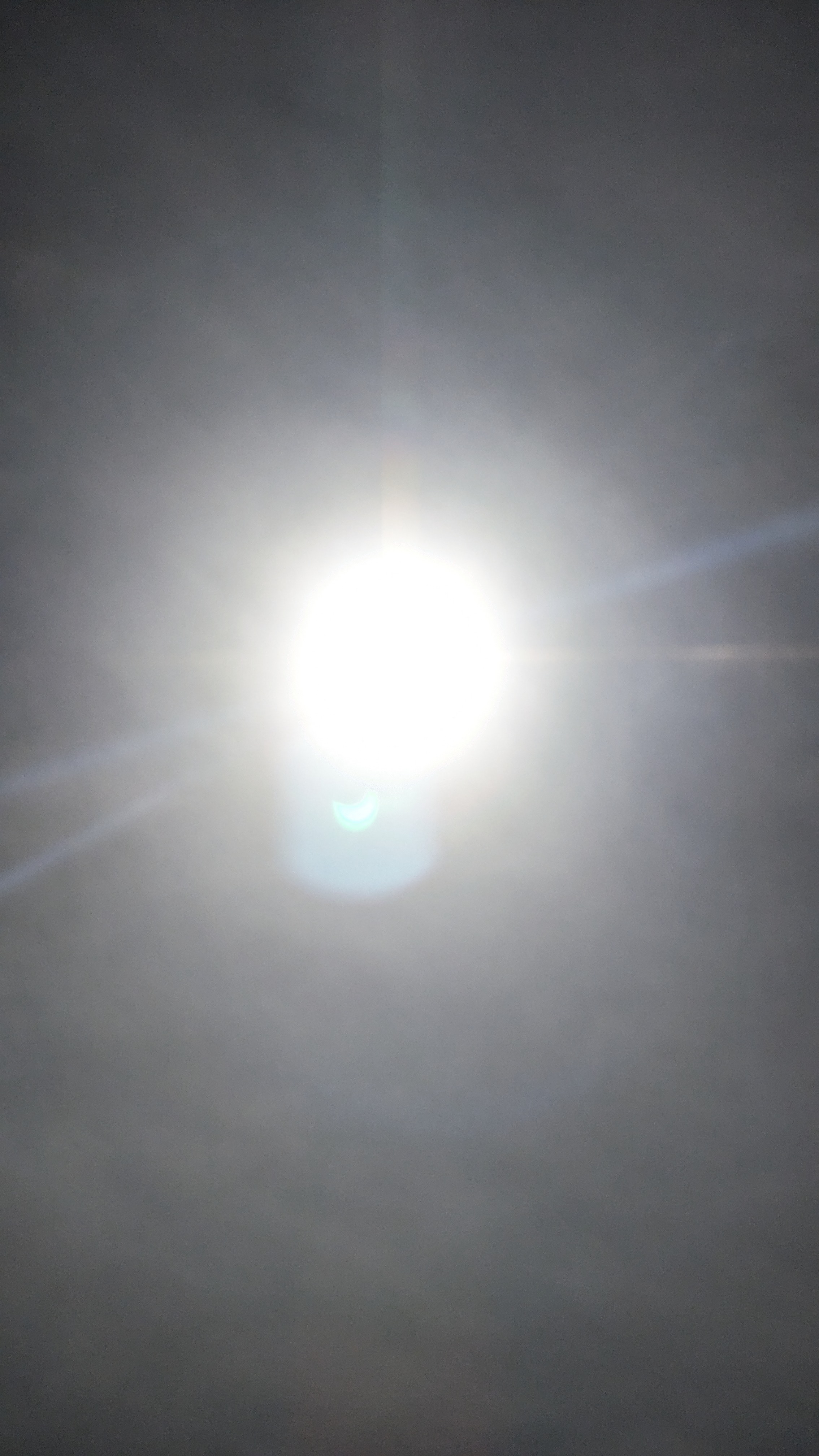 PXL_20240408_190053255.RAW-01.MP.COVER.jpg