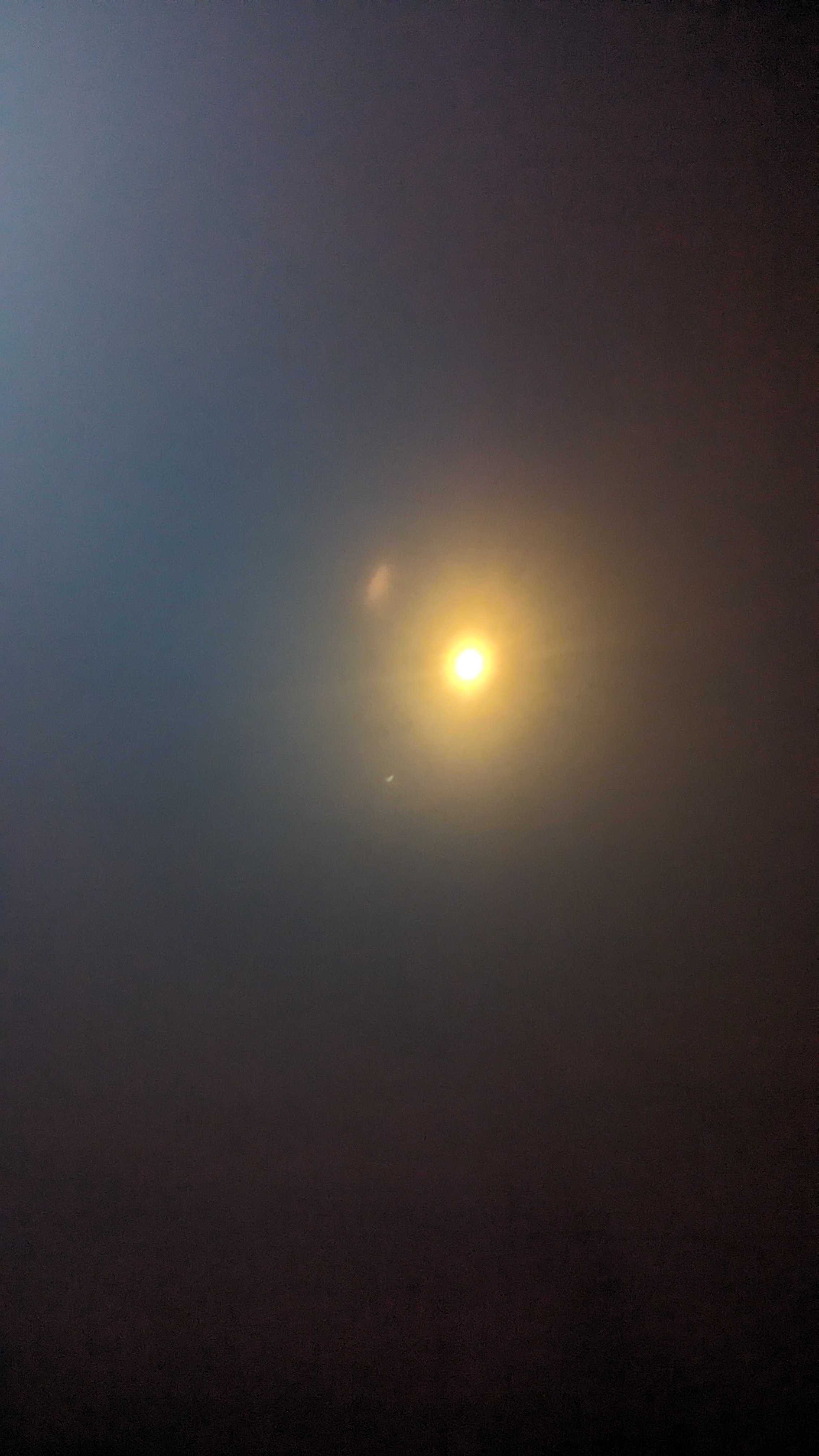 PXL_20240408_190122901.RAW-01.MP.COVER.jpg