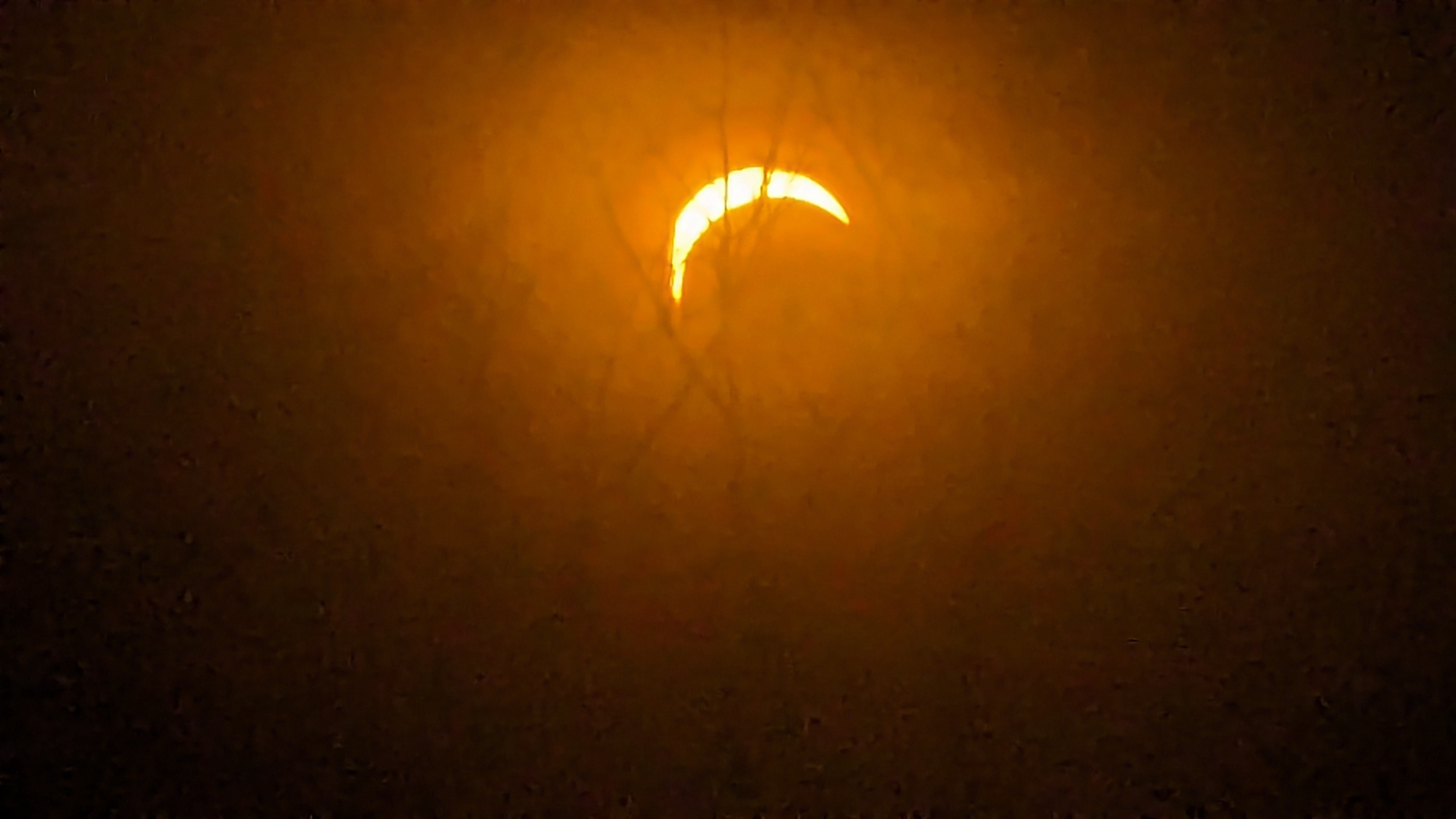 PXL_20240408_191547104.RAW-01.MP.COVER.jpg