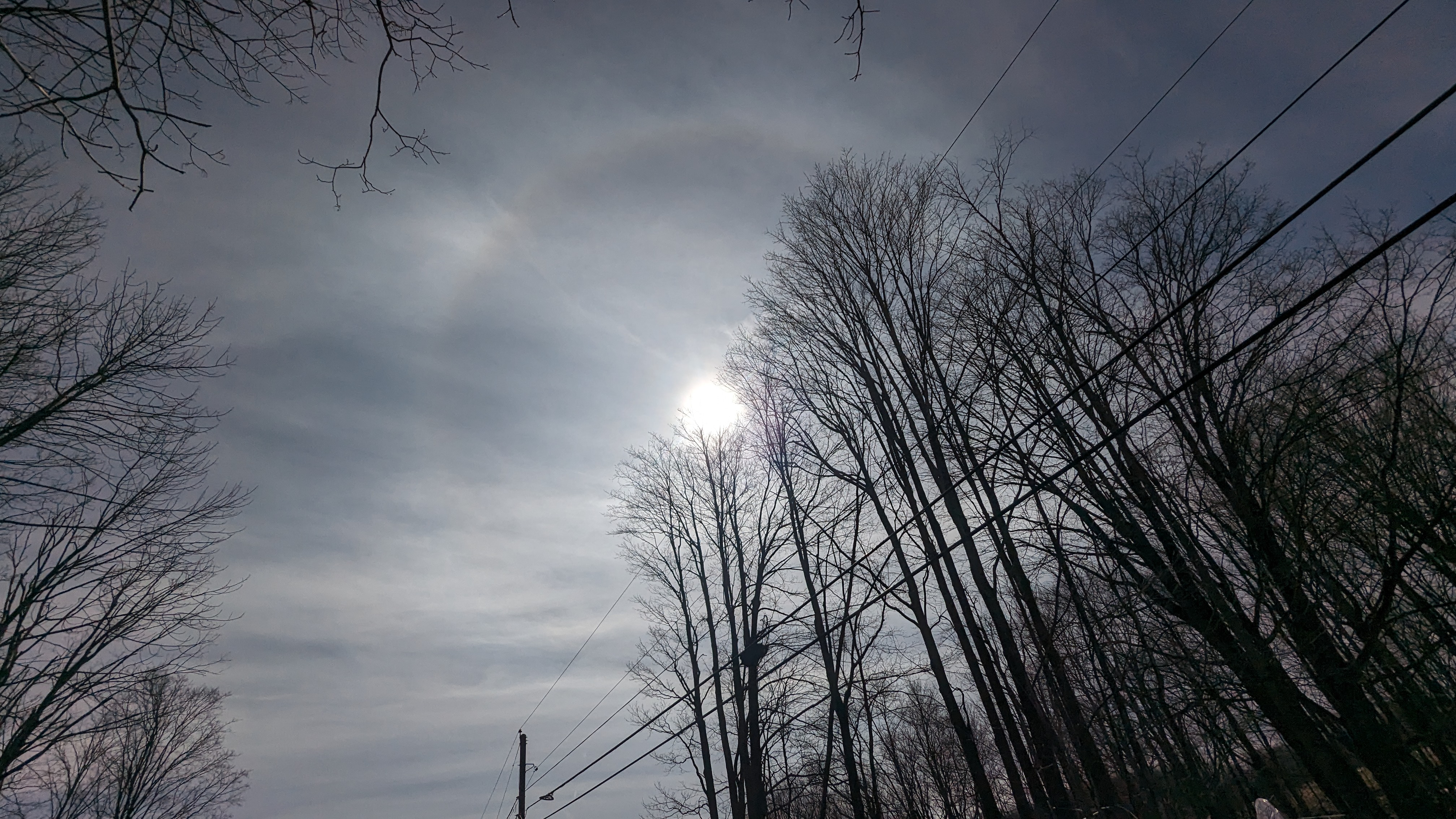 PXL_20240408_191712054.RAW-01.MP.COVER.jpg