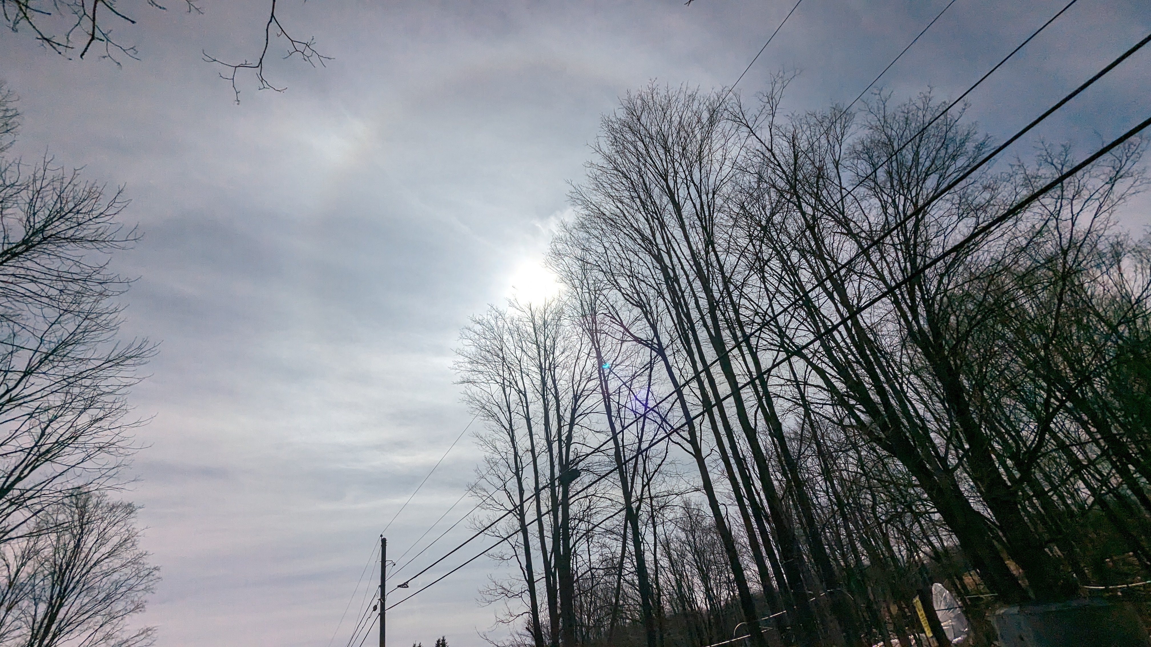 PXL_20240408_191722040.RAW-01.MP.COVER.jpg