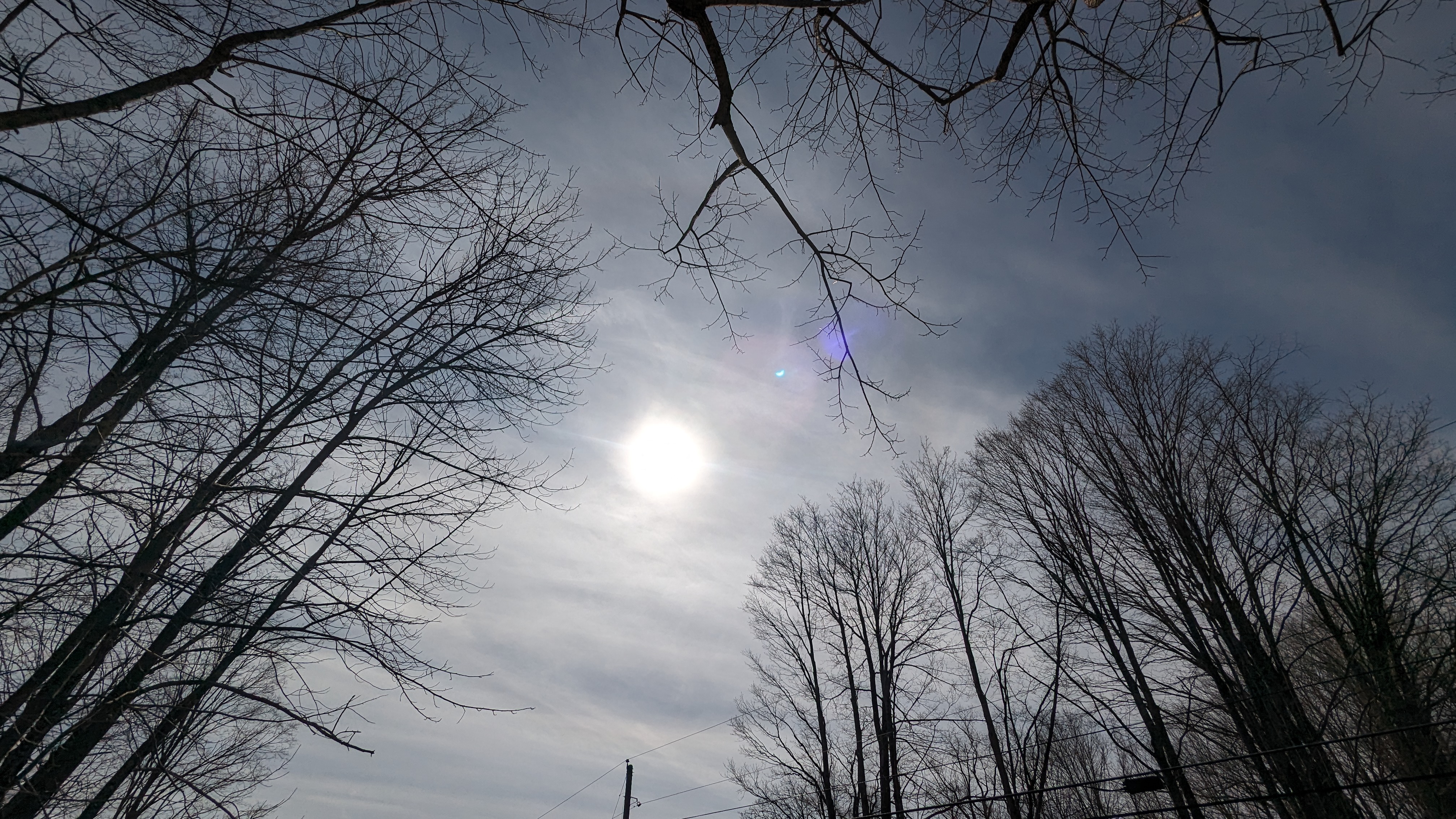 PXL_20240408_191916844.RAW-01.MP.COVER.jpg