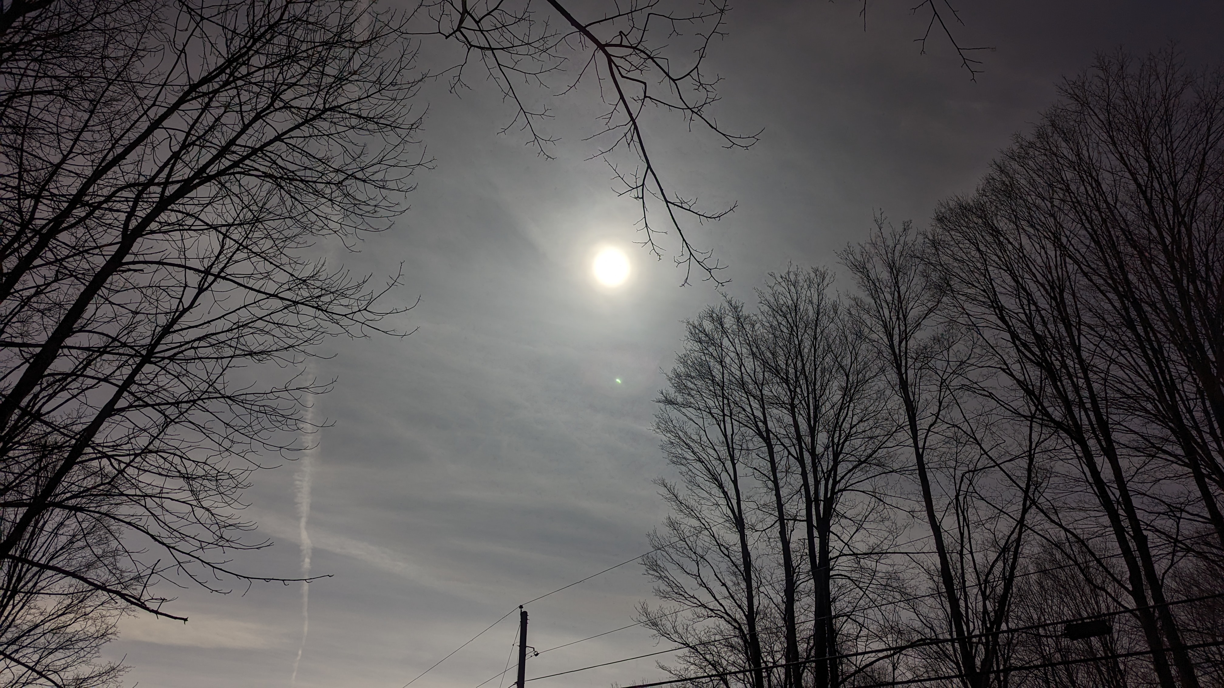 PXL_20240408_192953207.RAW-01.MP.COVER.jpg