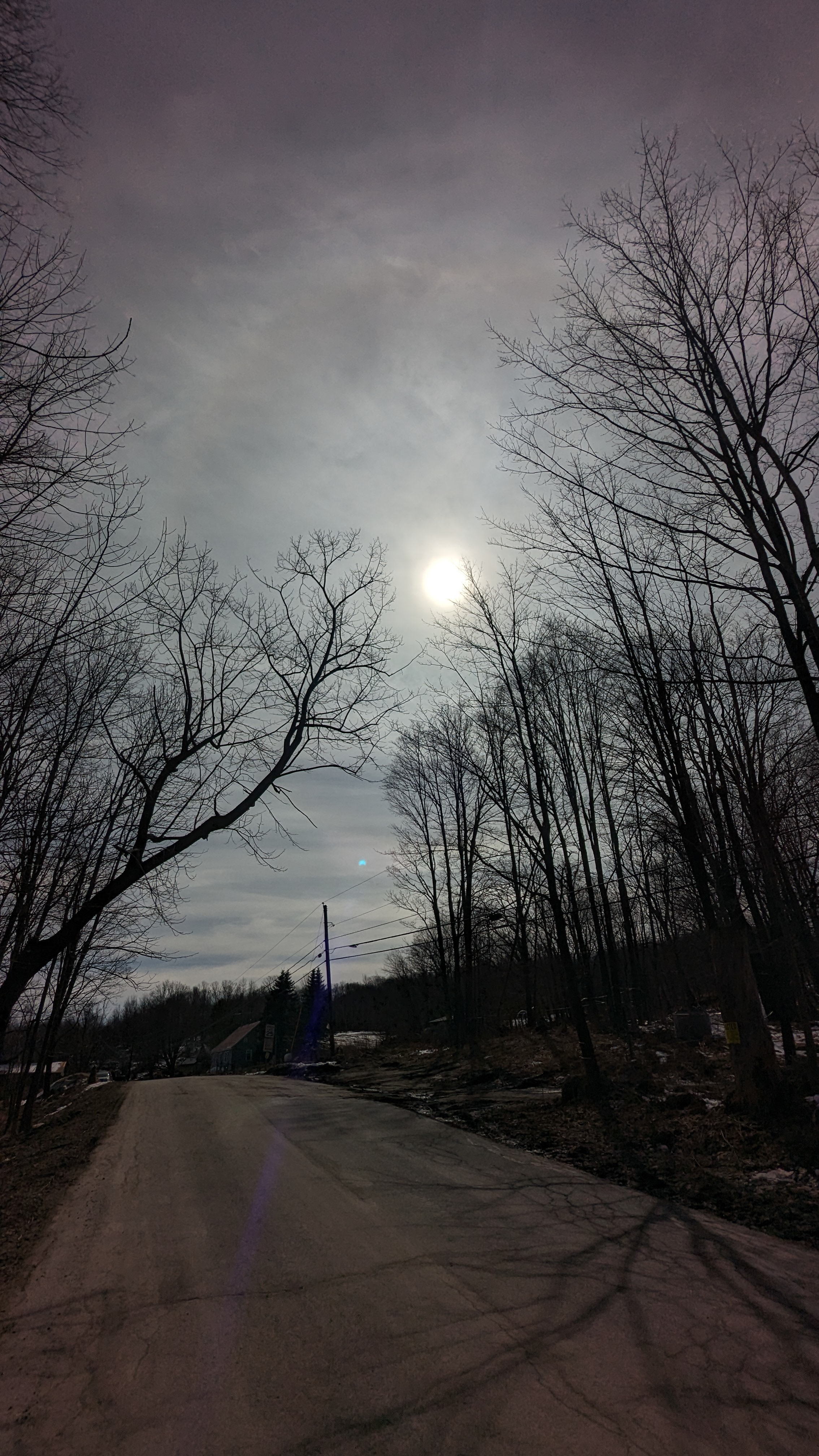 PXL_20240408_193433918.RAW-01.MP.COVER.jpg