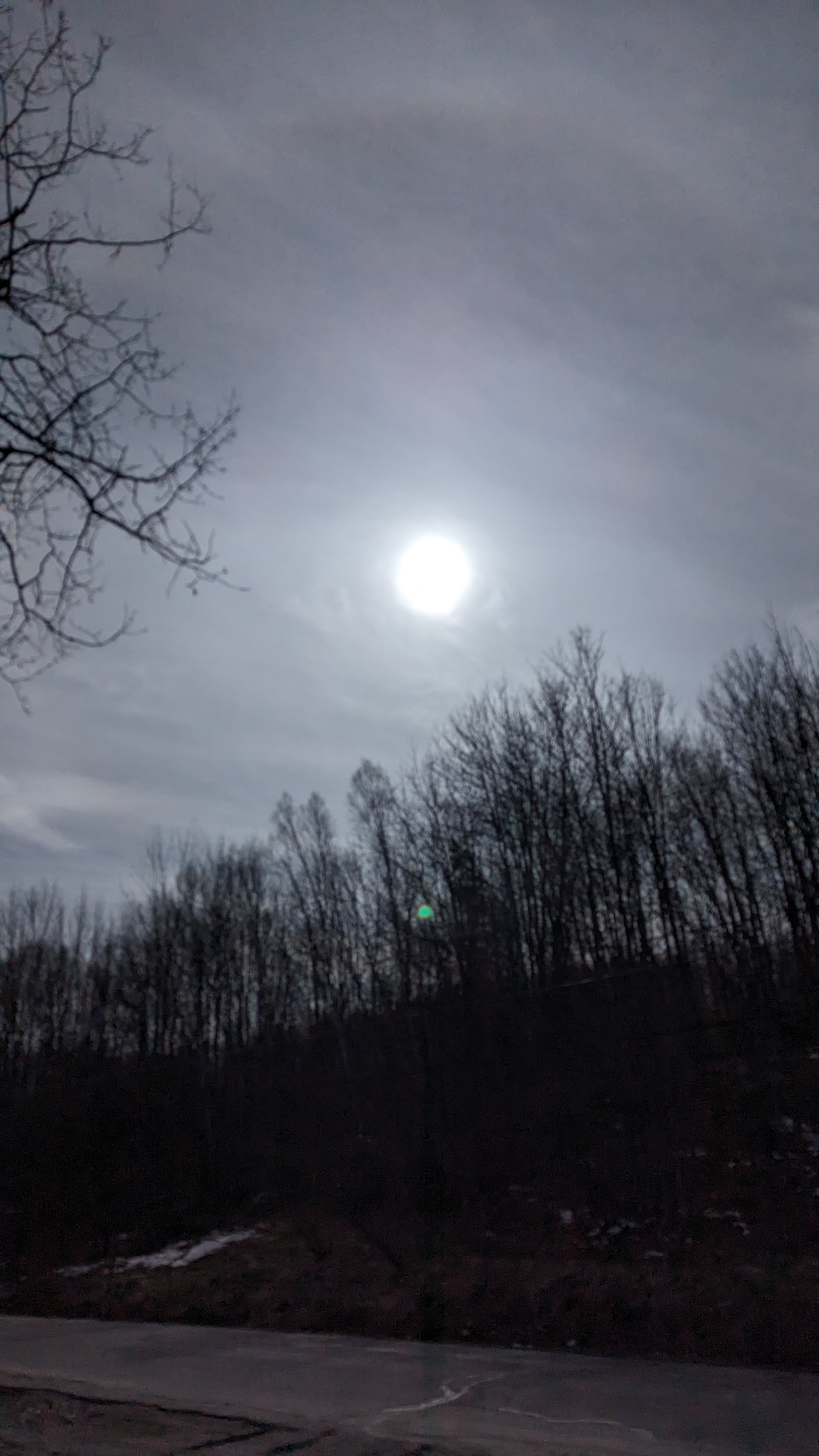 PXL_20240408_195724895.RAW-01.MP.COVER.jpg