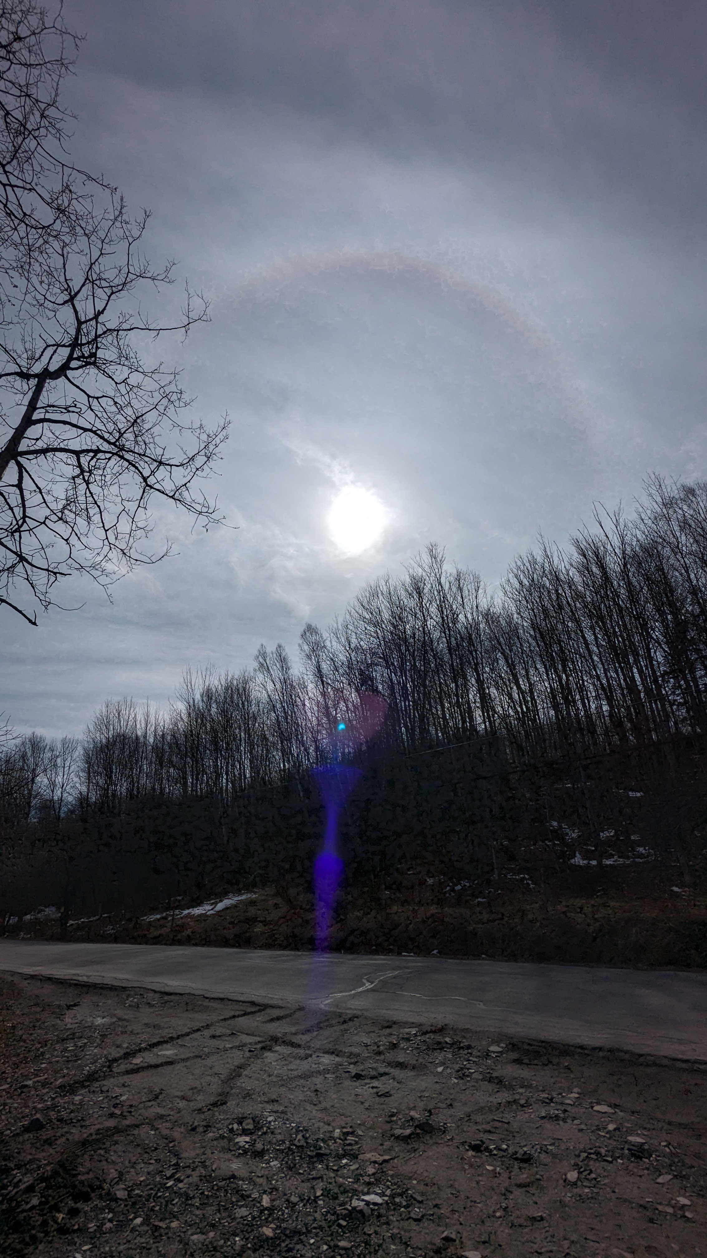 PXL_20240408_200259837.RAW-01.MP.COVER.jpg